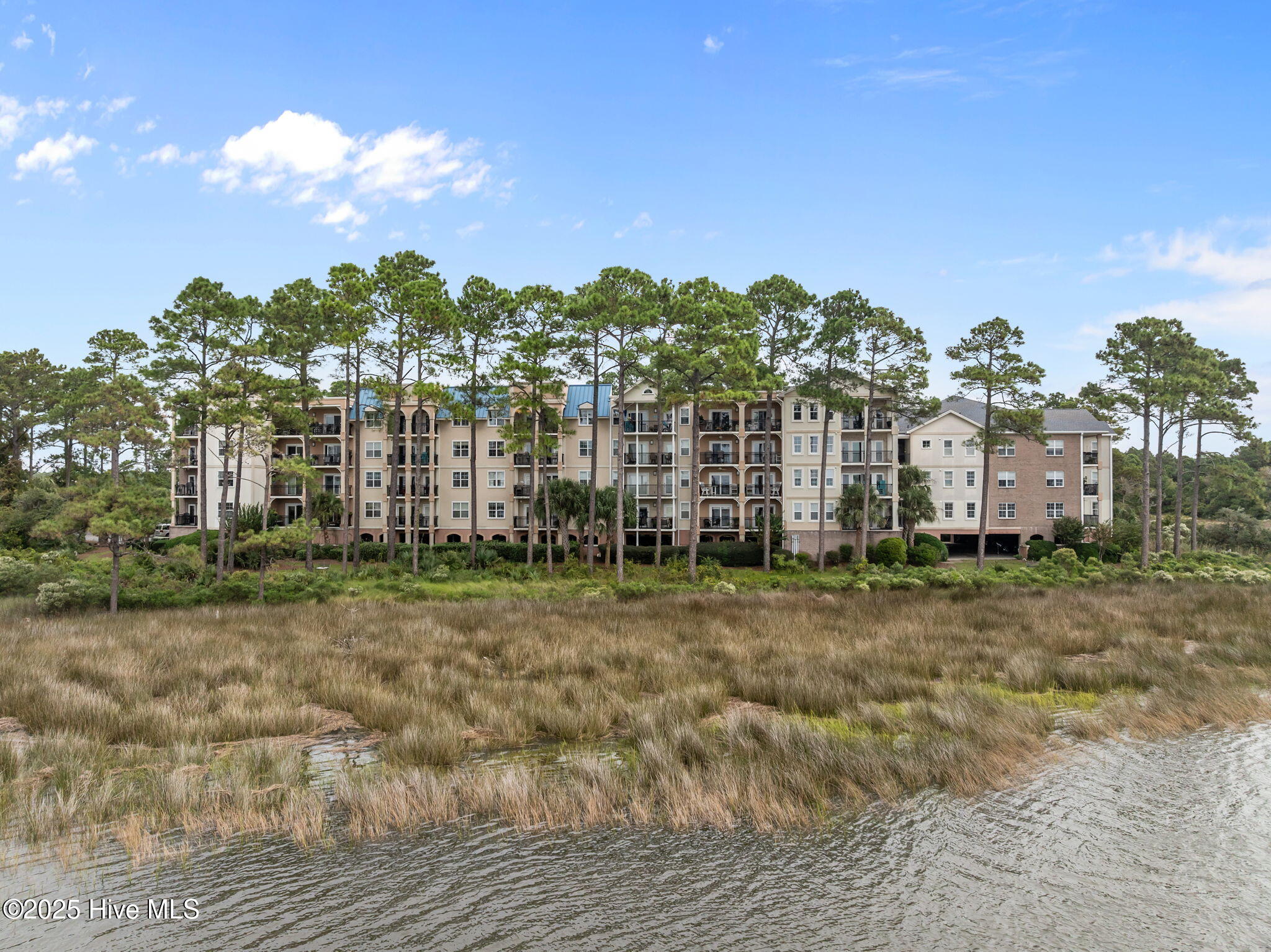 100535787 | Photo 54