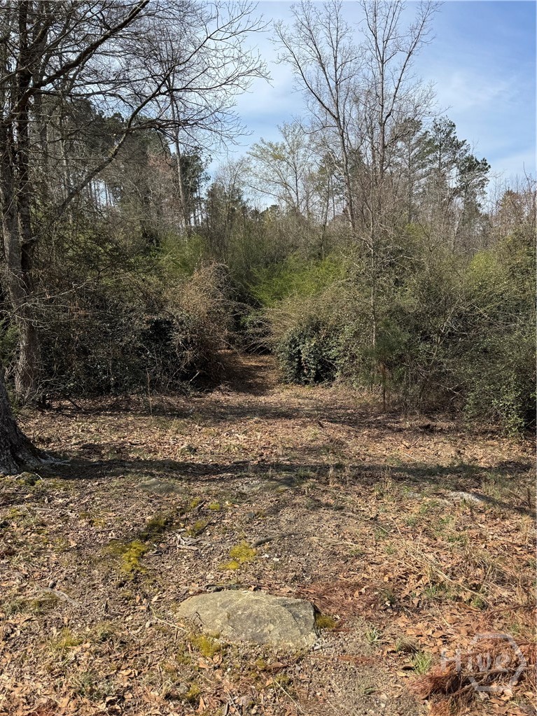 738 Old Mineral Springs Road, Elberton, GA, 30635