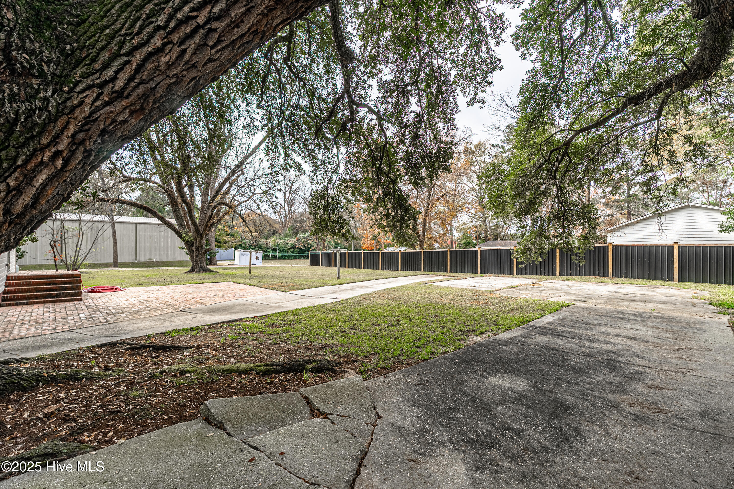 100543227 | Photo 15