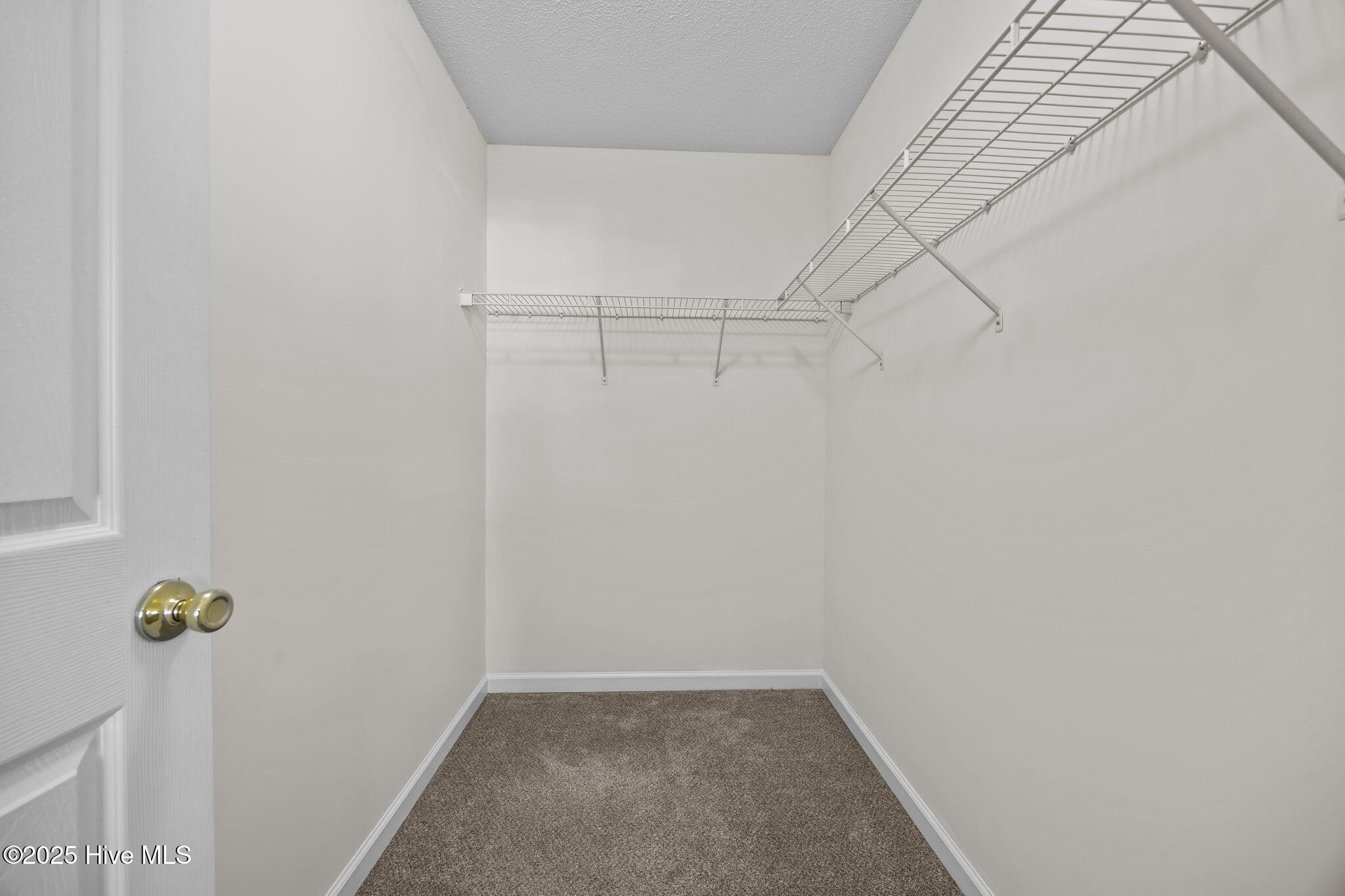 100541602 | Photo 27