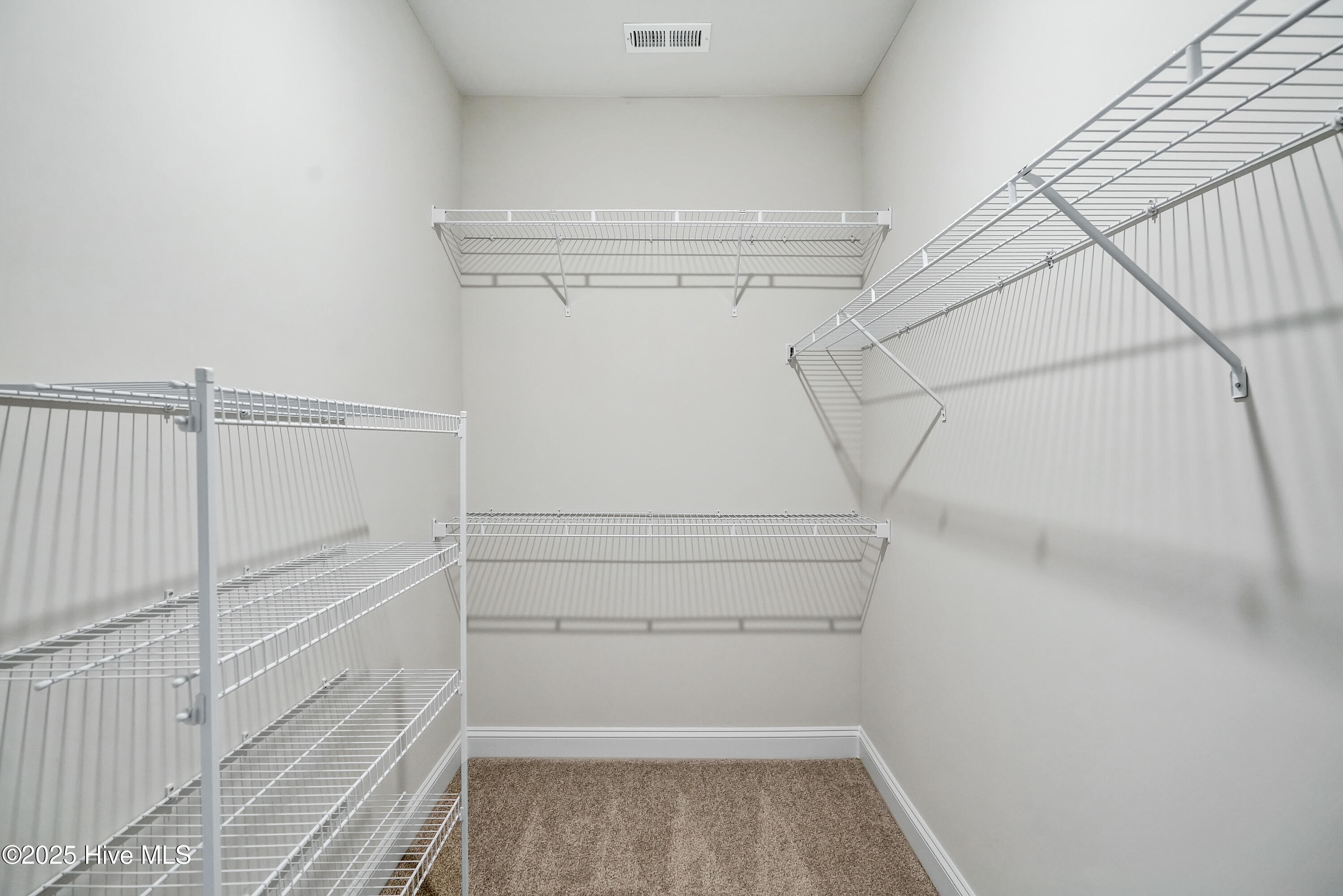 100535956 | Photo 45