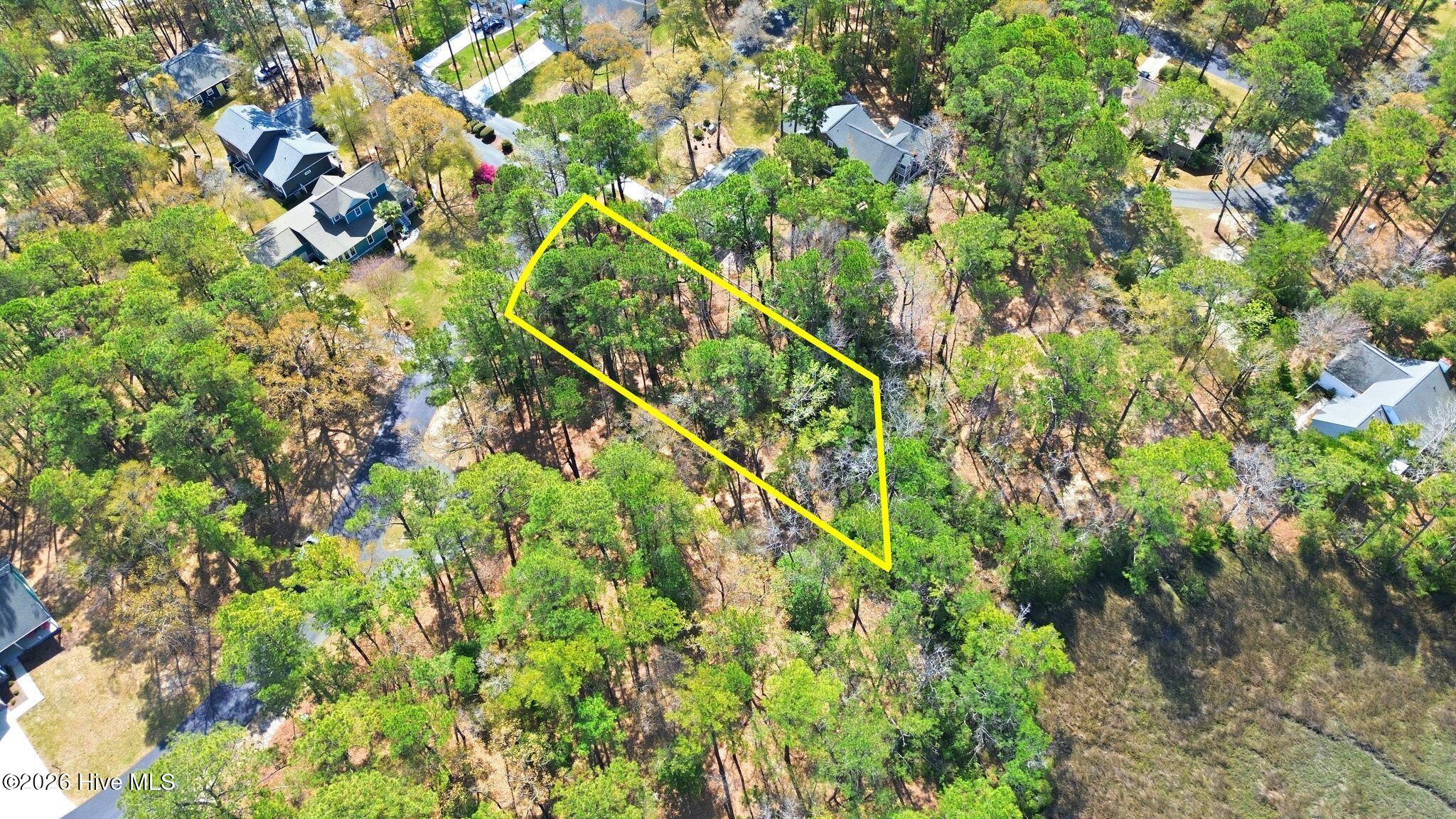 100563683 | Photo 14