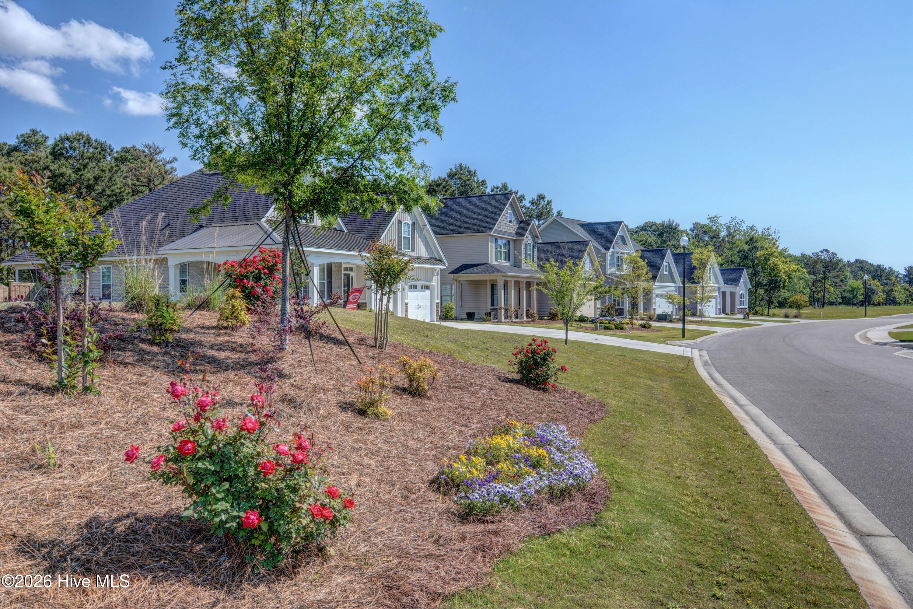 100553232 | Photo 30