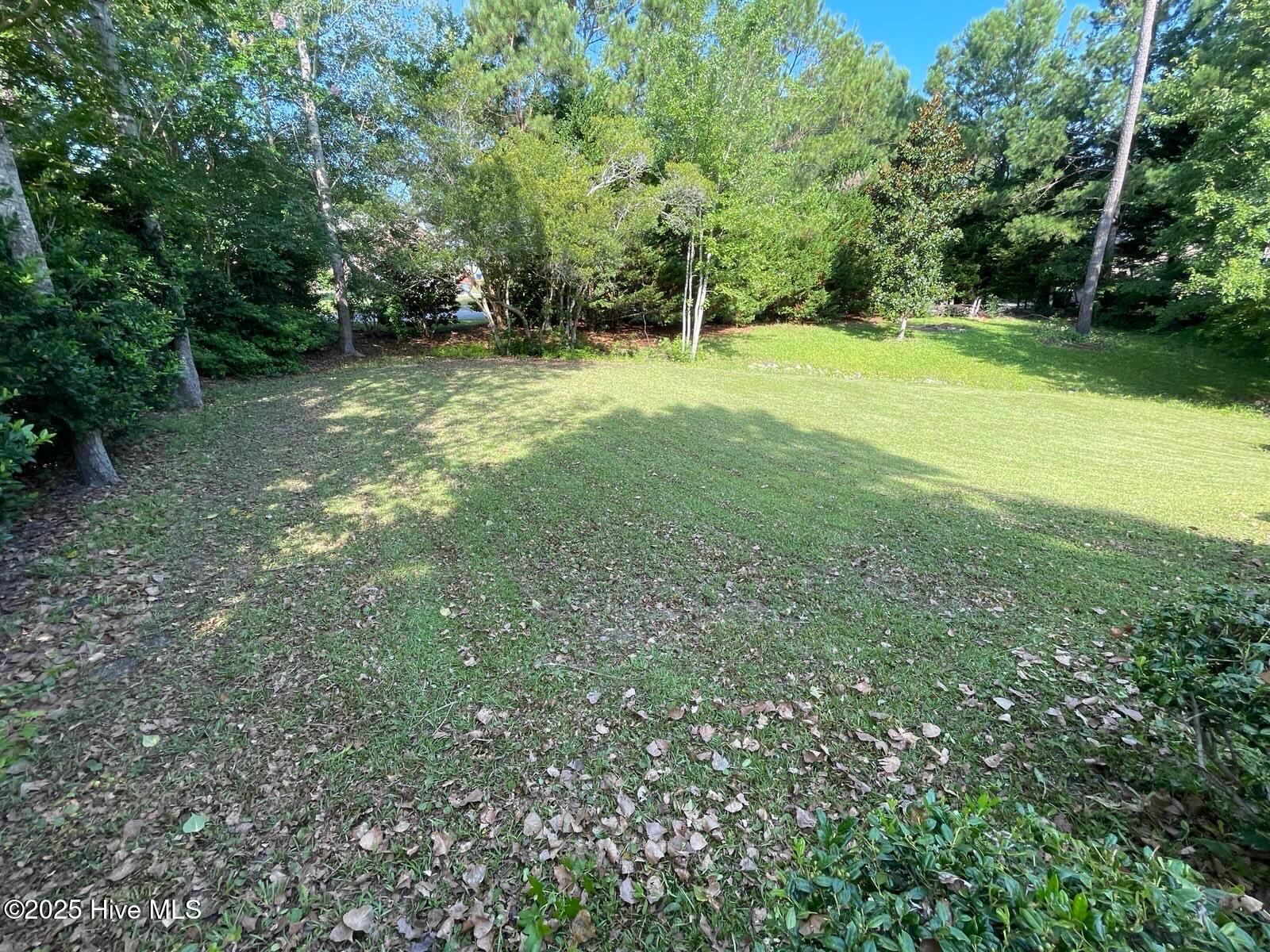 100522001 | Photo 63