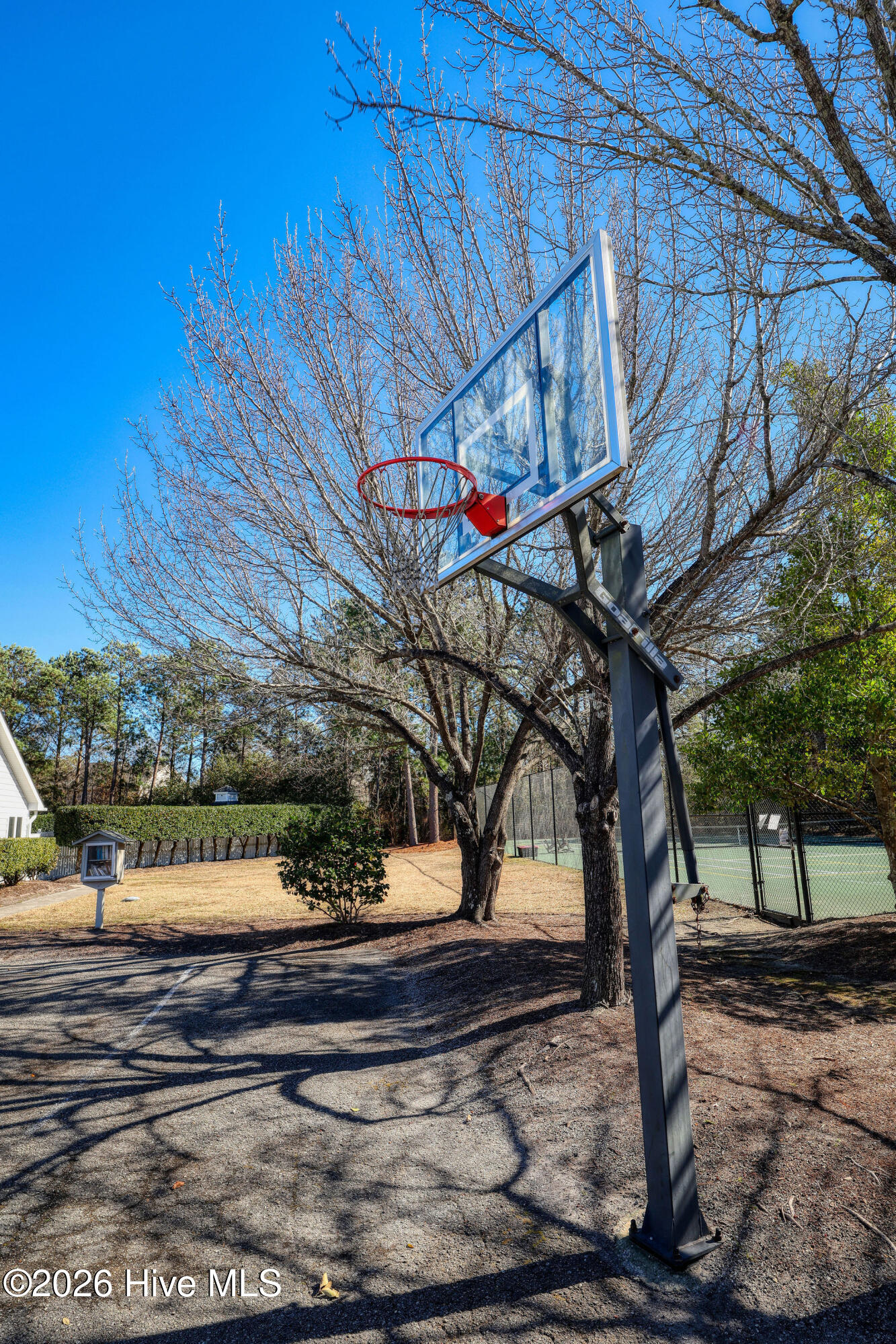 100554180 | Photo 57