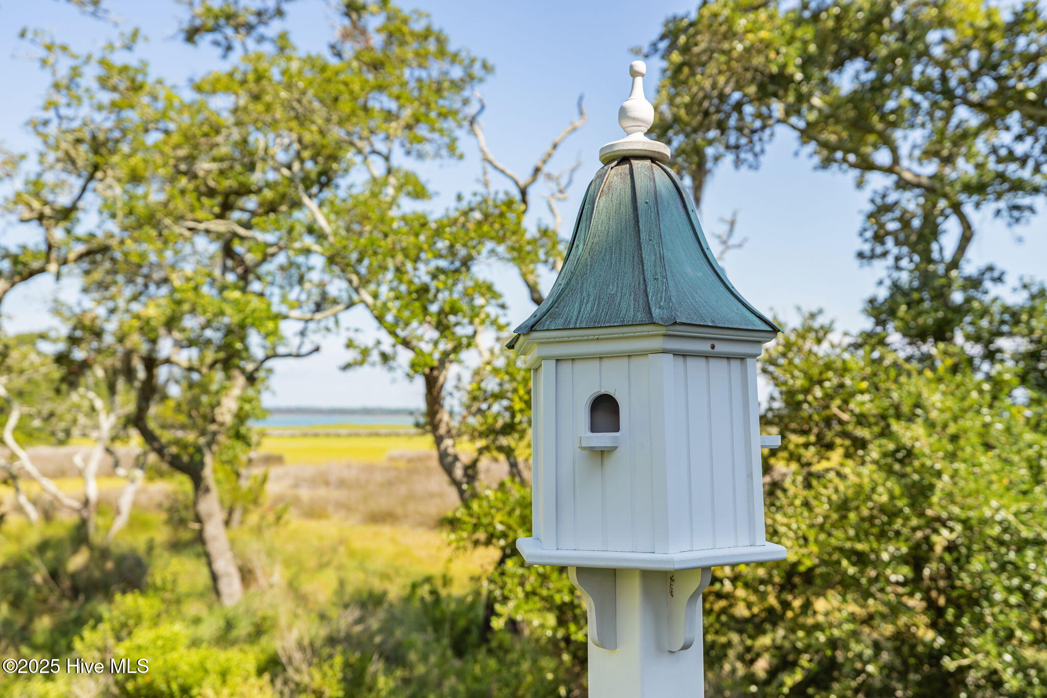 100549920 | Photo 21