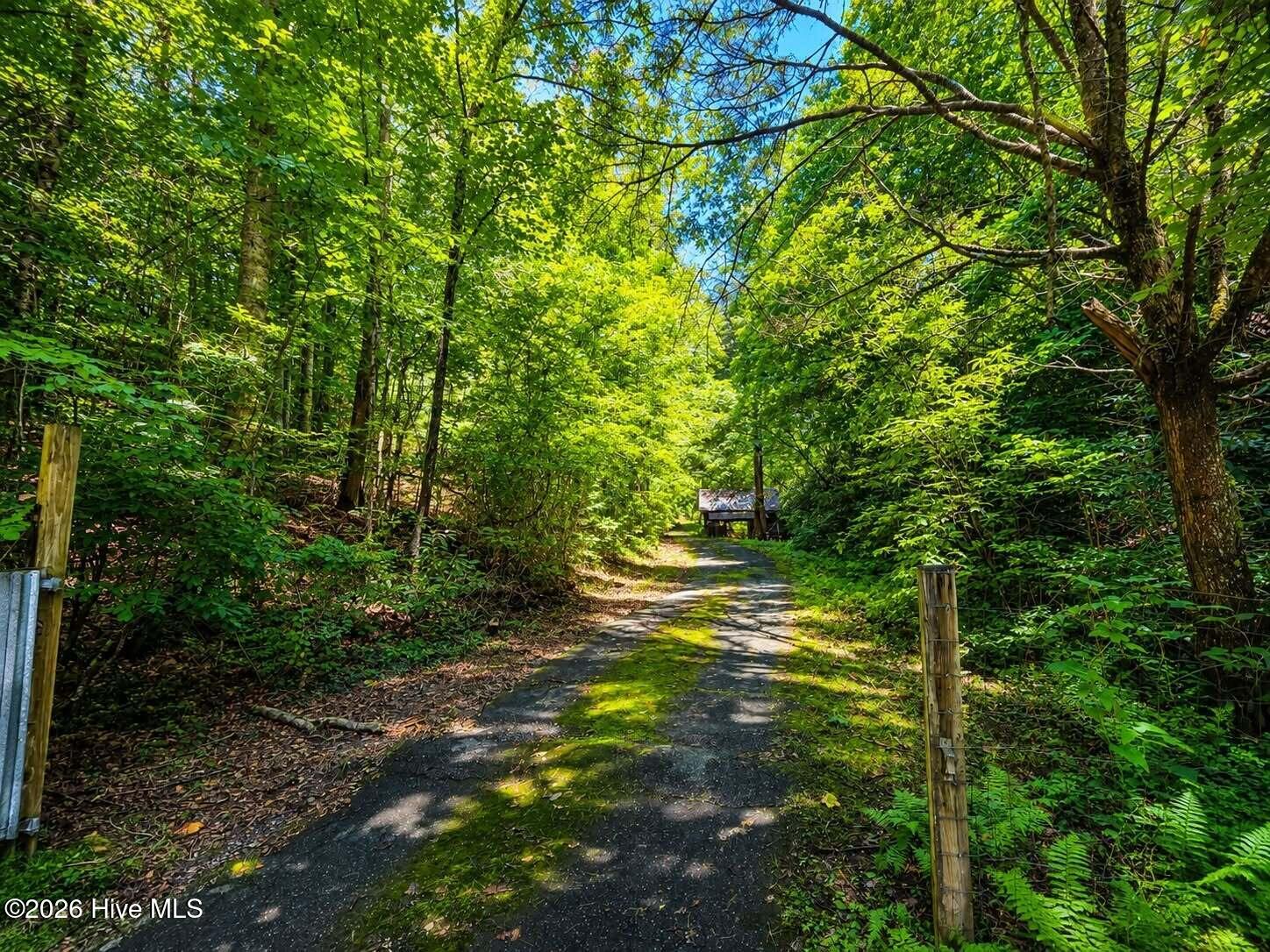 4th image of 197 Pounding Mill Con, Hayesville, NC 28904 | MLS# 100598619