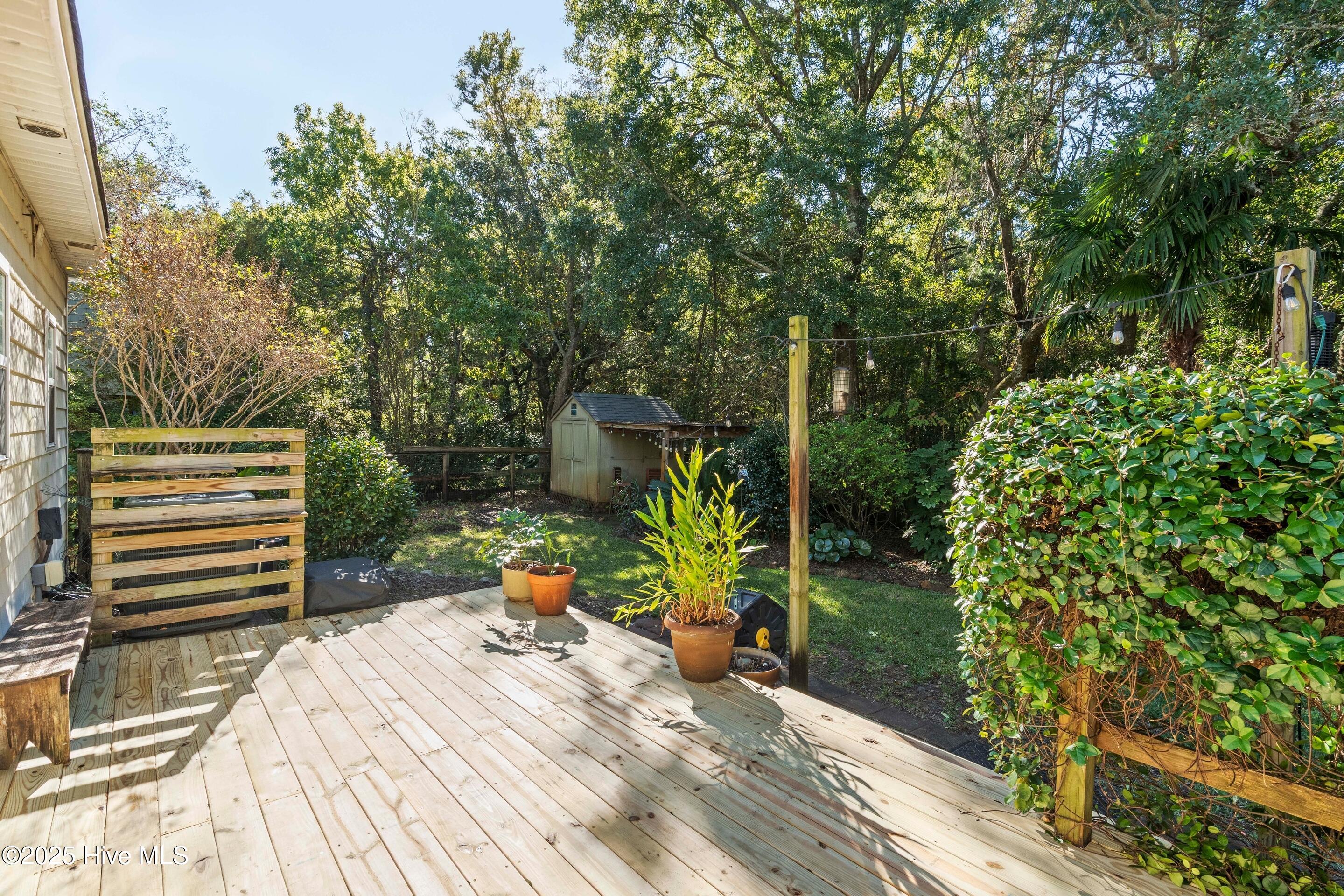 100536584 | Photo 48