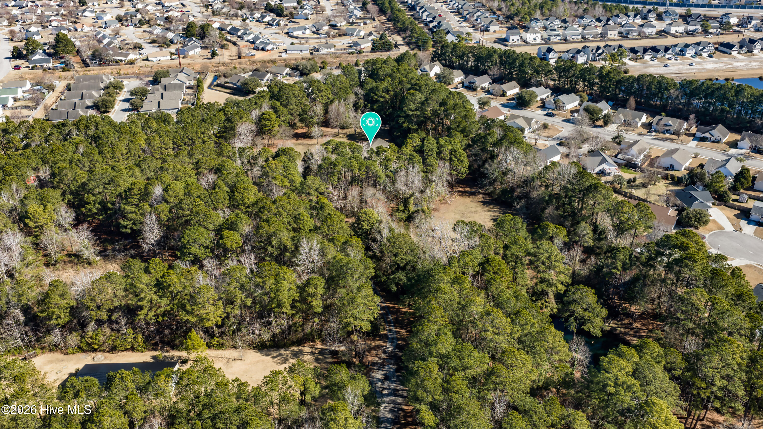 100498443 | Photo 23