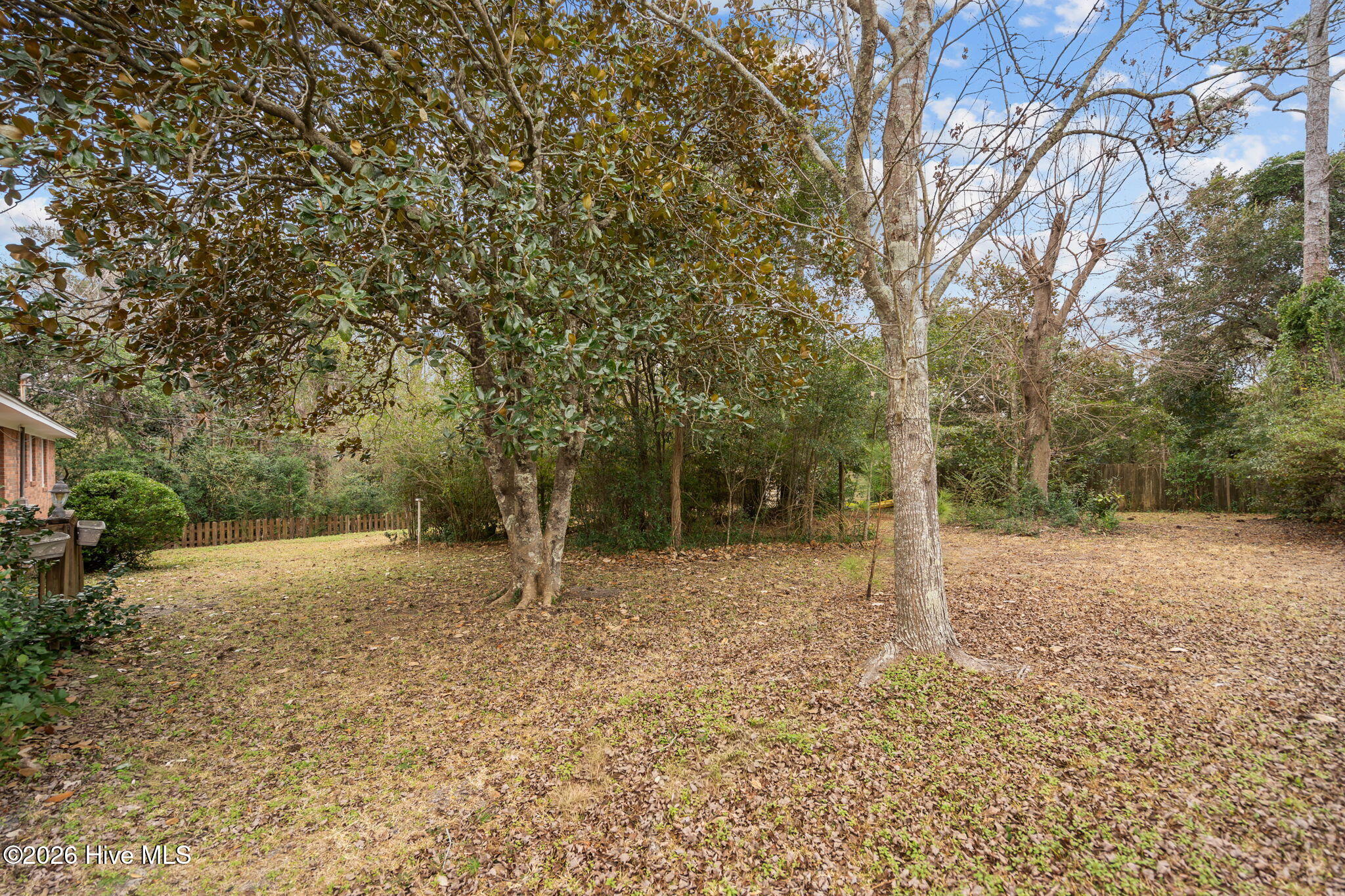 100551462 | Photo 42