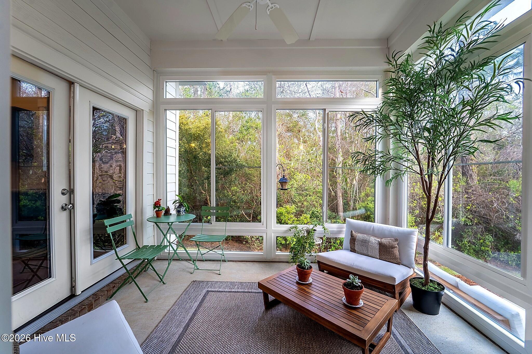 100564724 | Photo 18