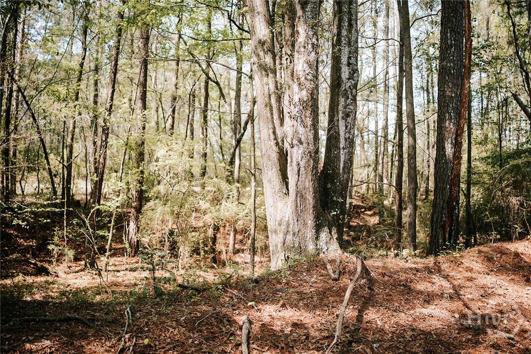 000 Union Point Road, Stephens, GA, 30667