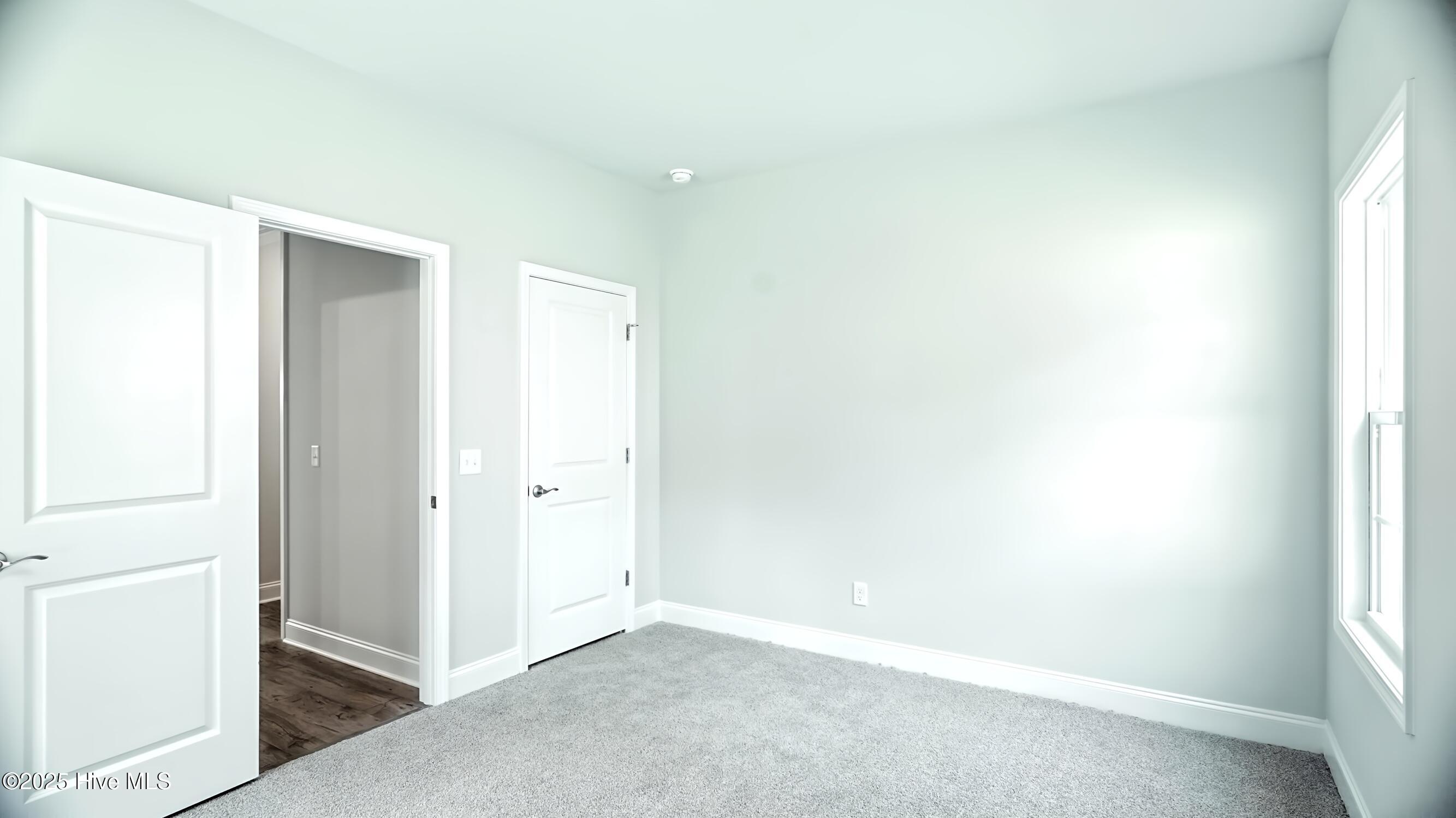 100424316 | Photo 23