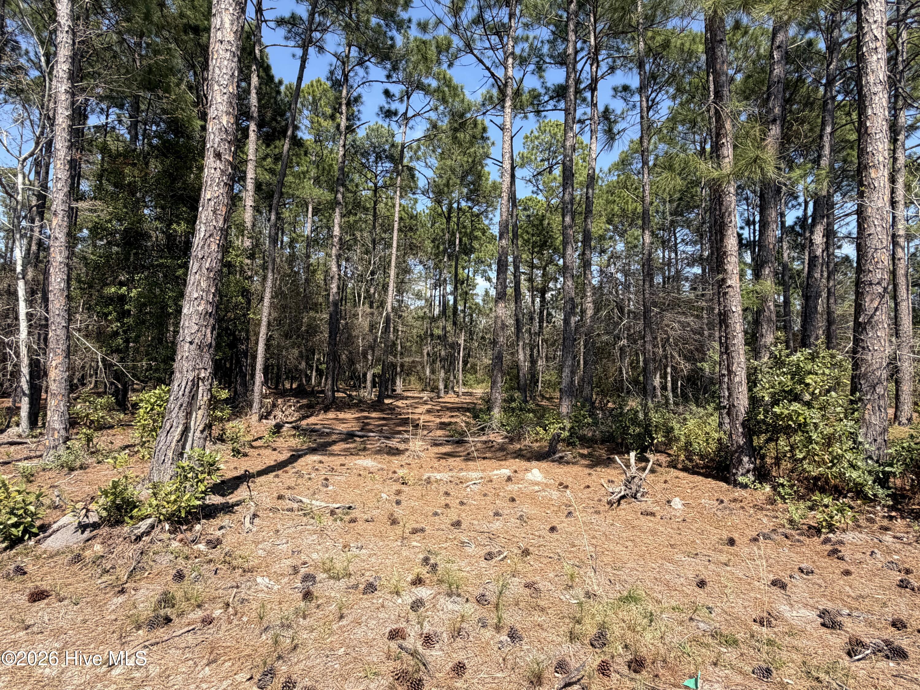 6786 Holton Place, Ocean Isle Beach, NC, 28469