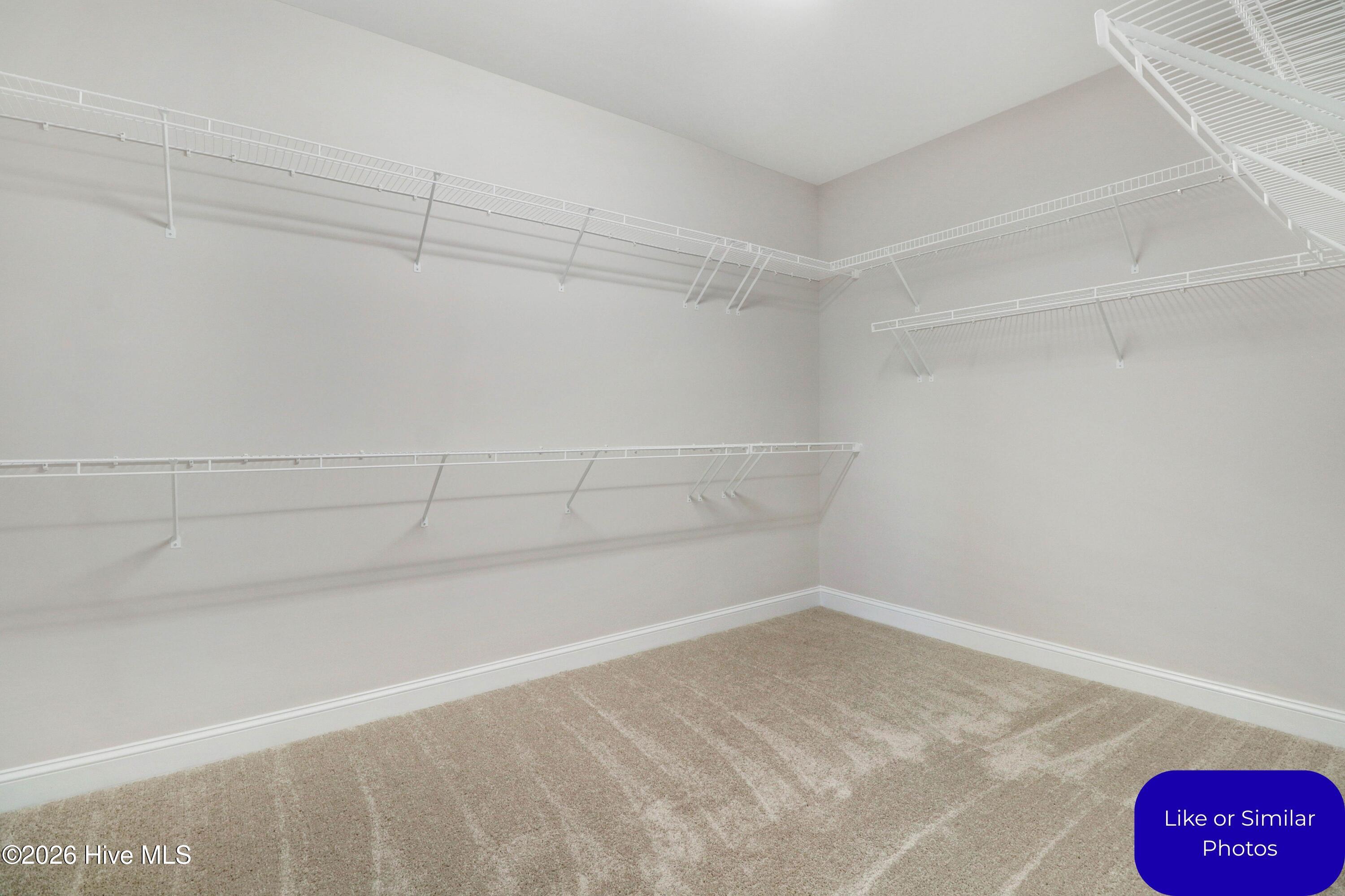 100570214 | Photo 22