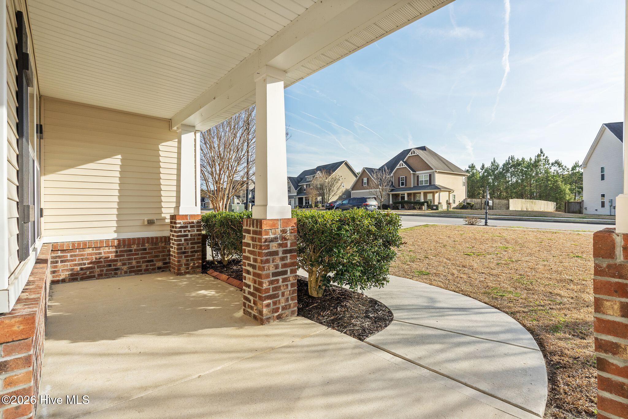 100558662 | Photo 11