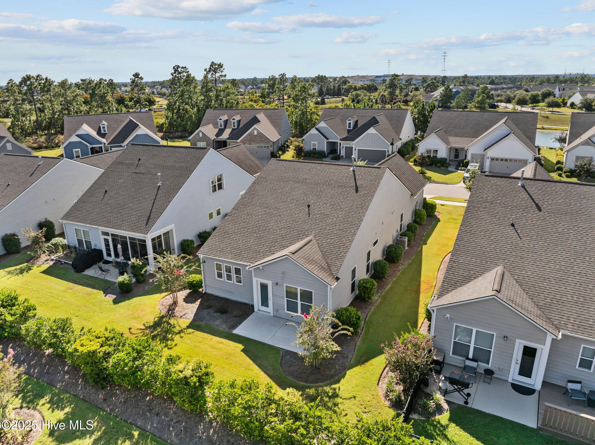 100565127 | Photo 10