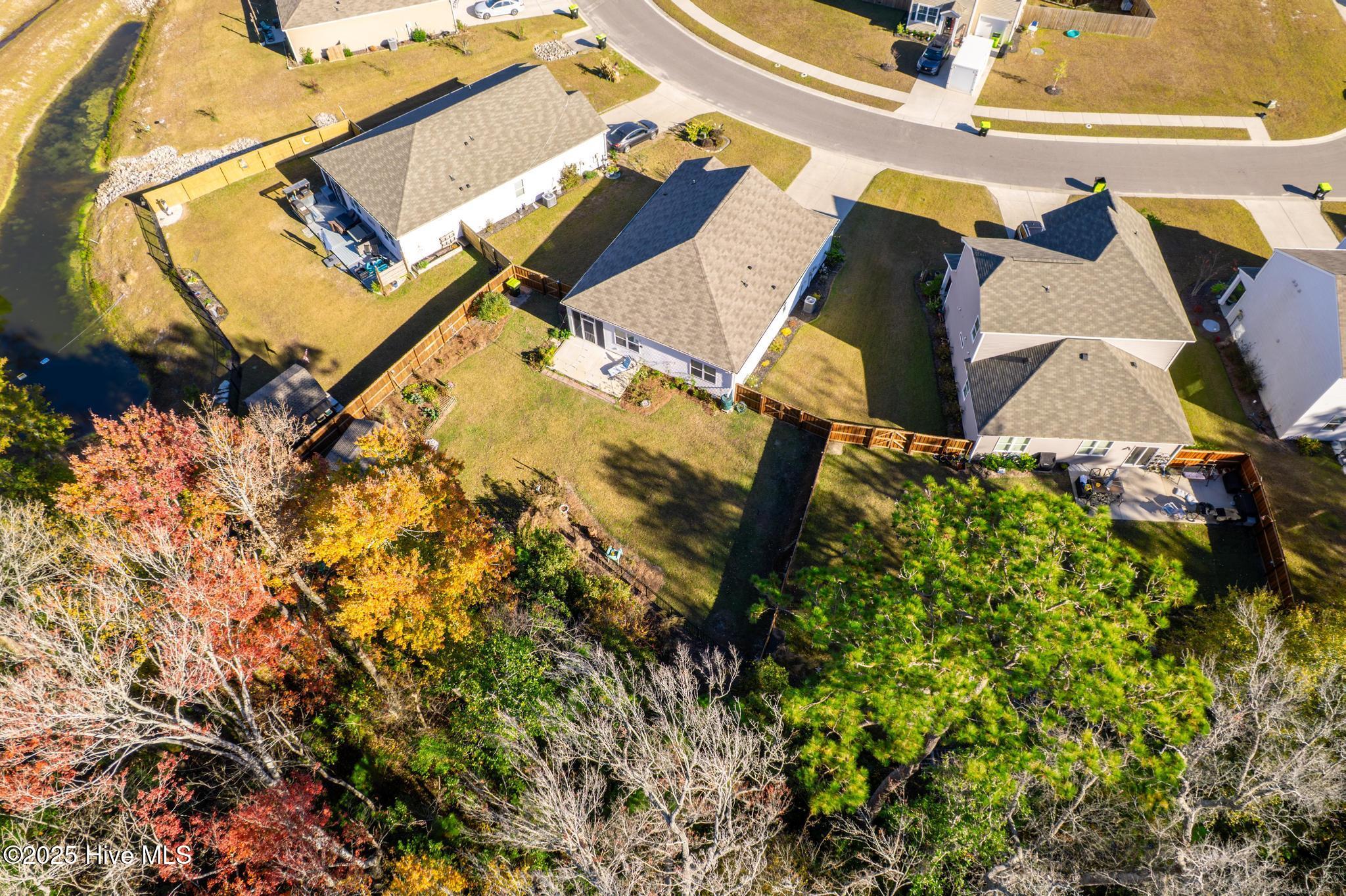 100542071 | Photo 29