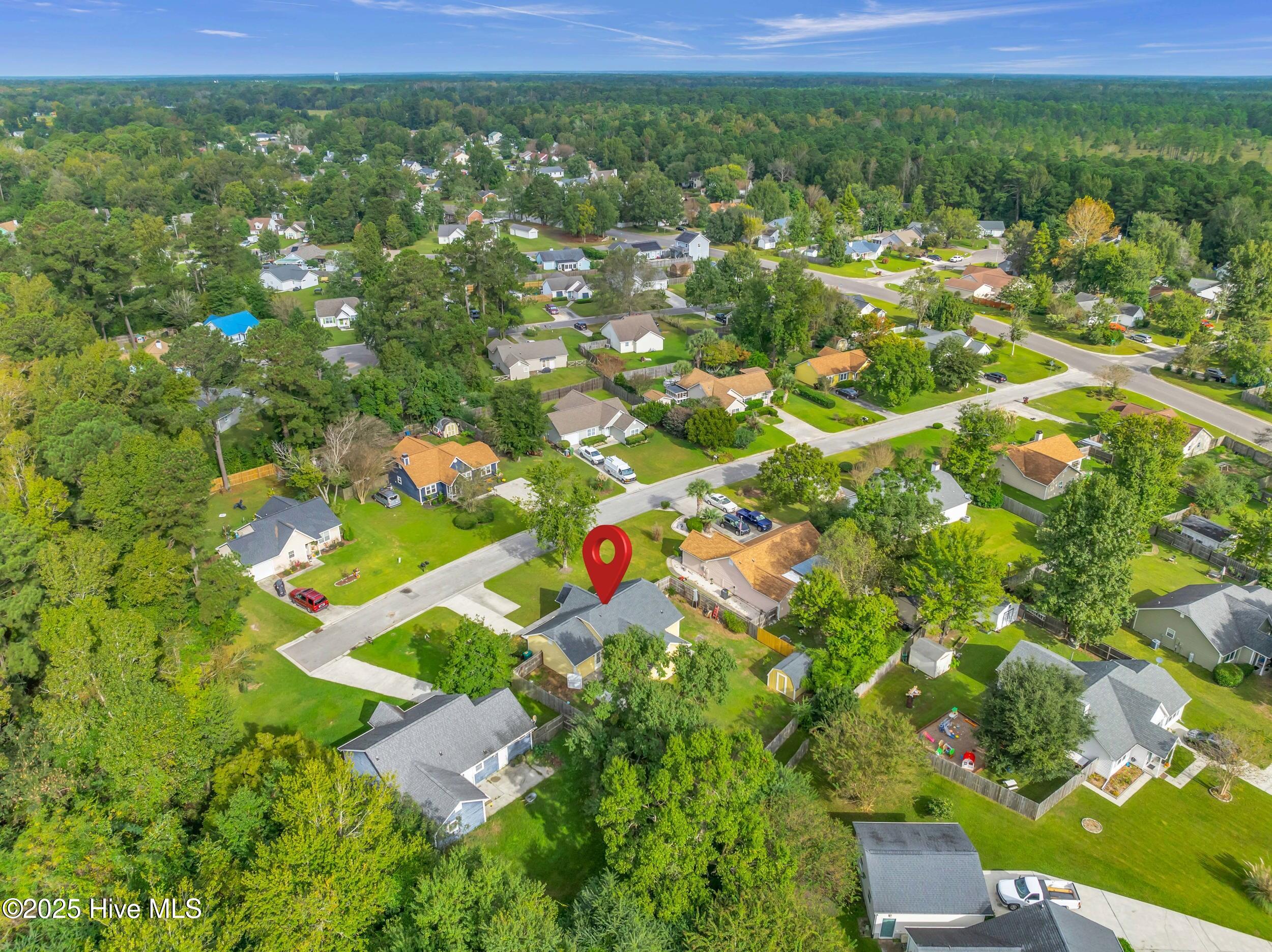 100535250 | Photo 30