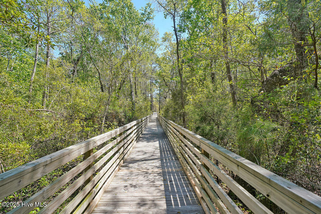 100542530 | Photo 63