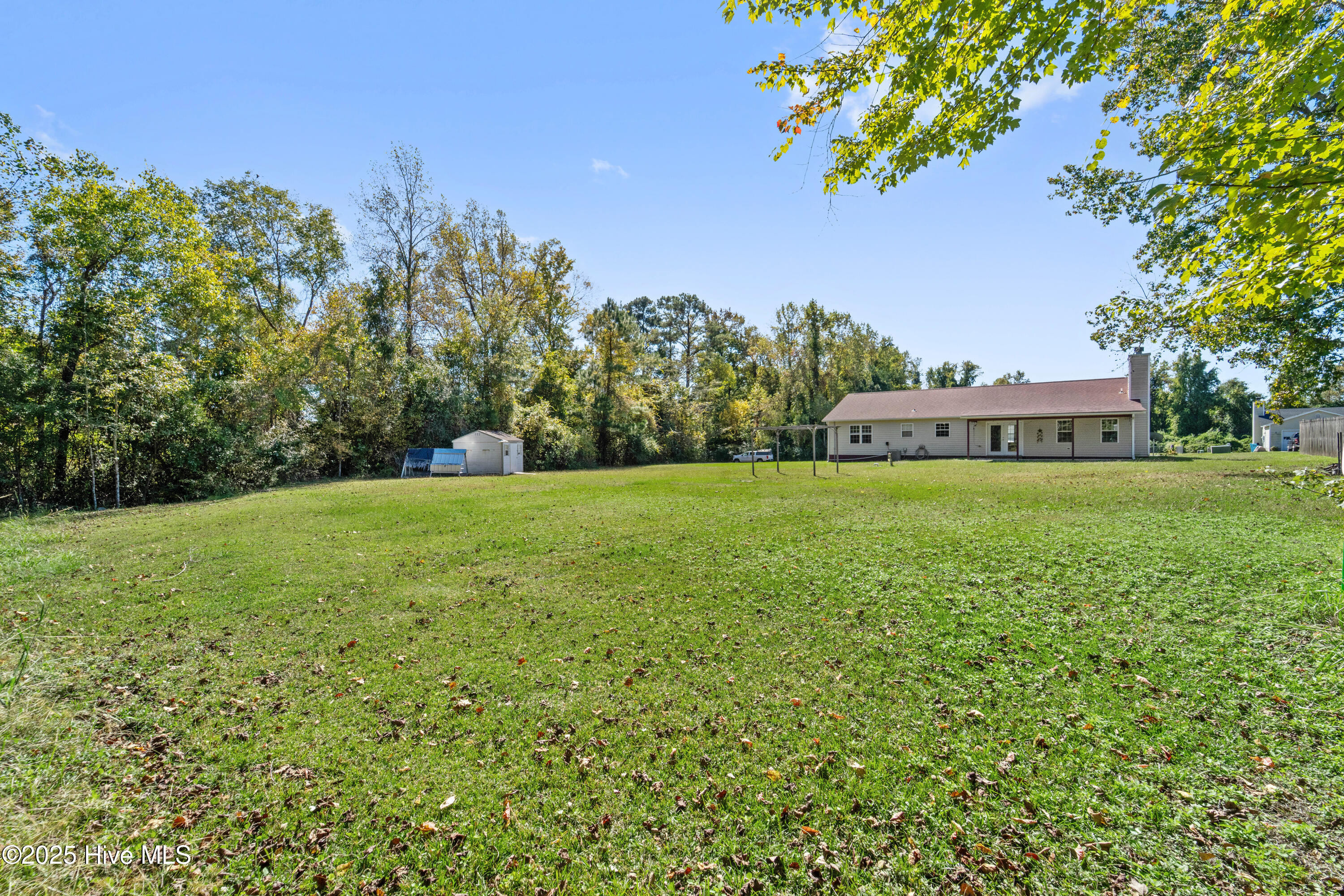 100538355 | Photo 17