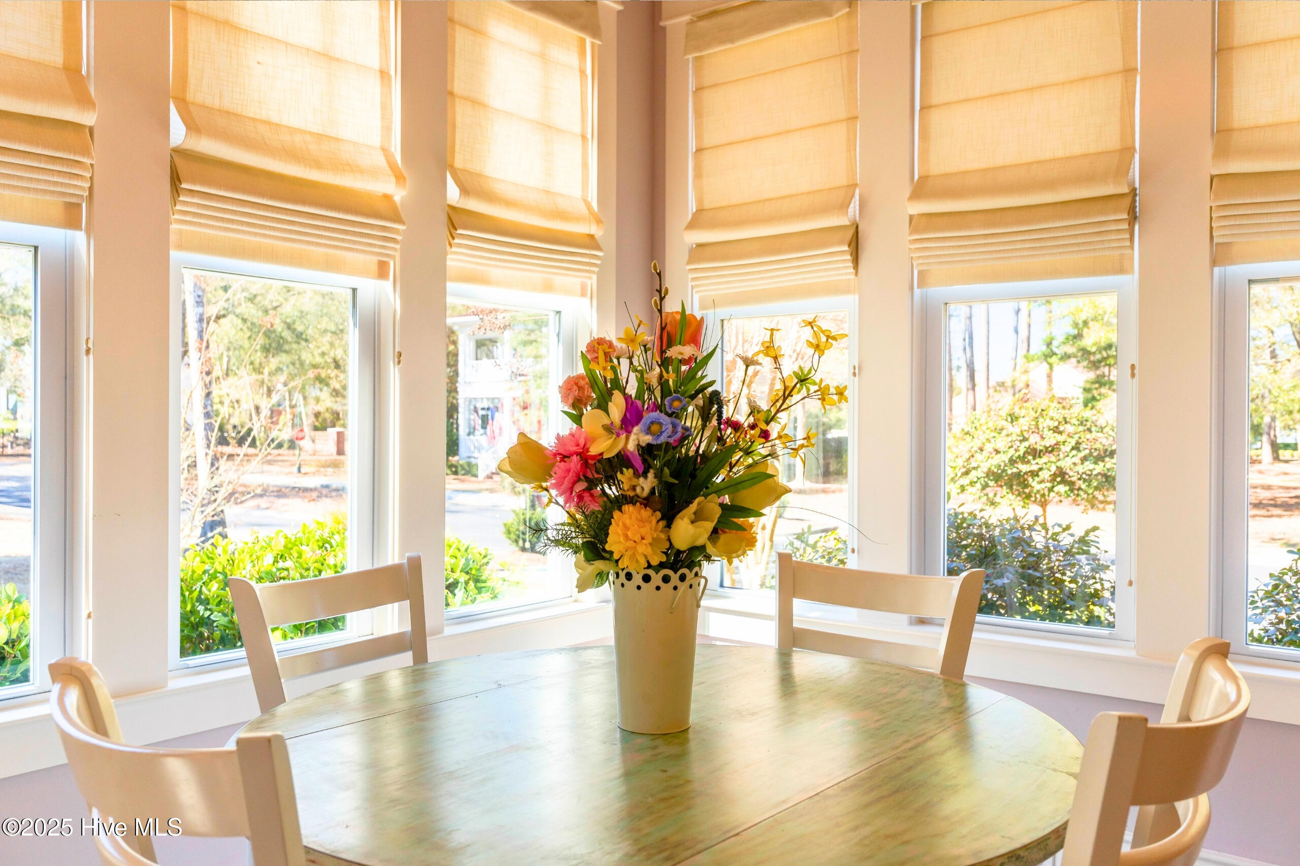 100492264 | Photo 20