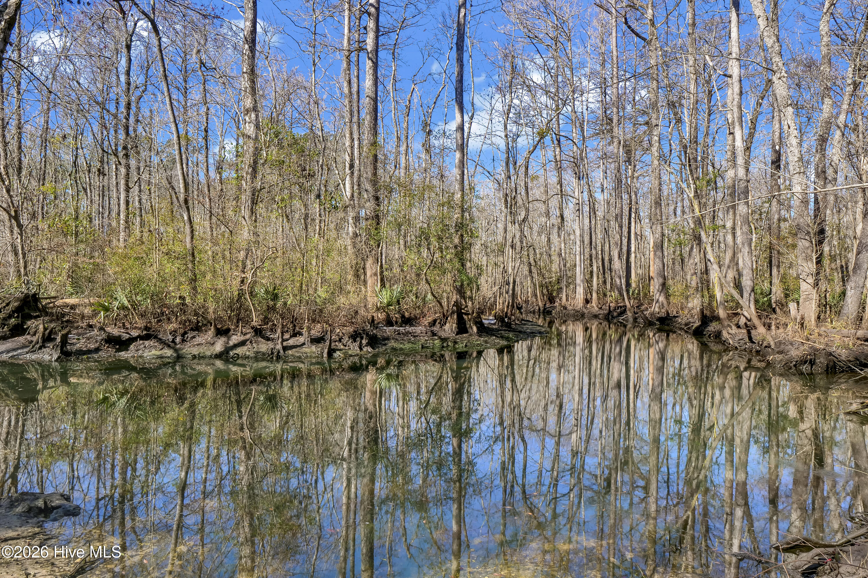 100548252 | Photo 37