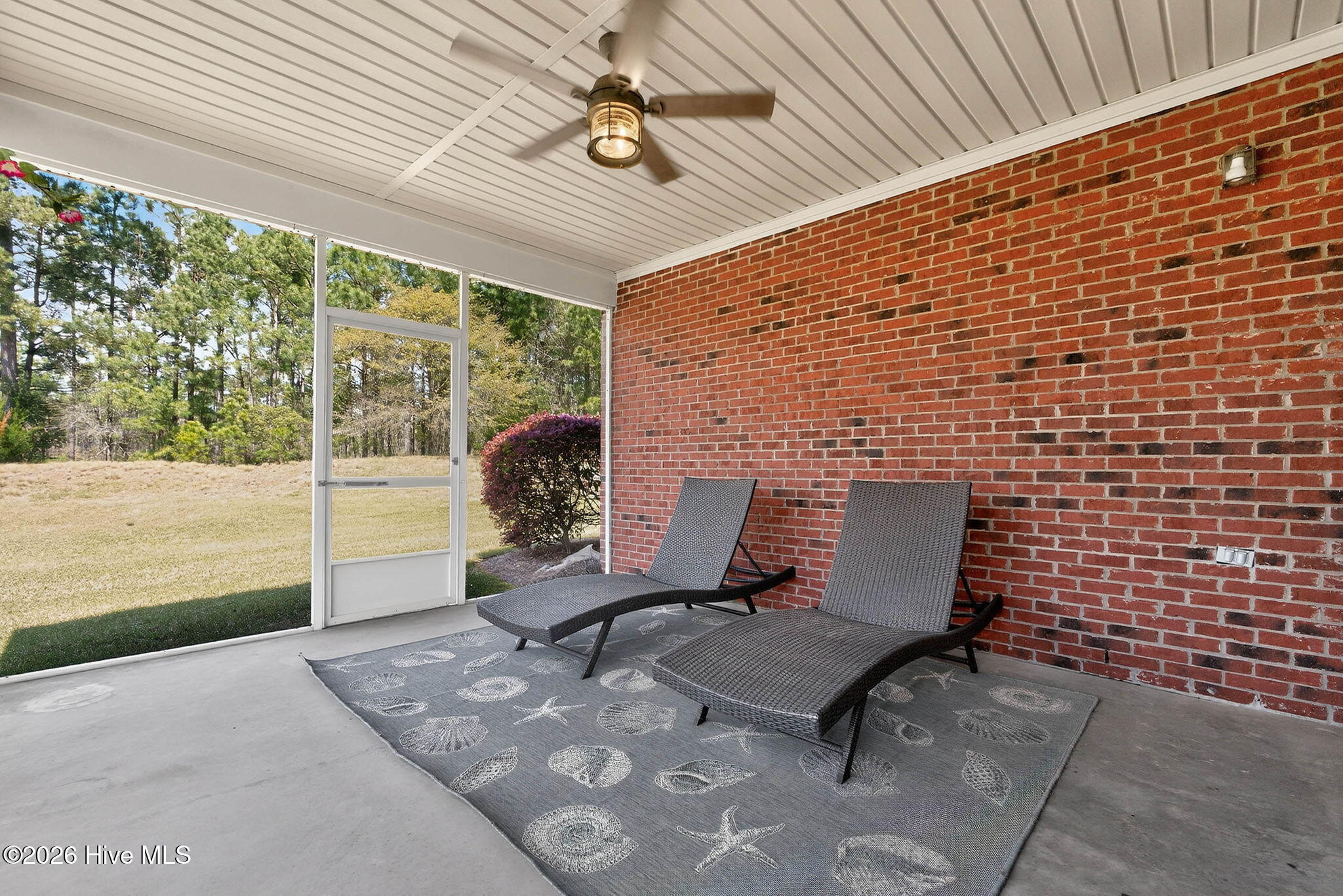 100566097 | Photo 37