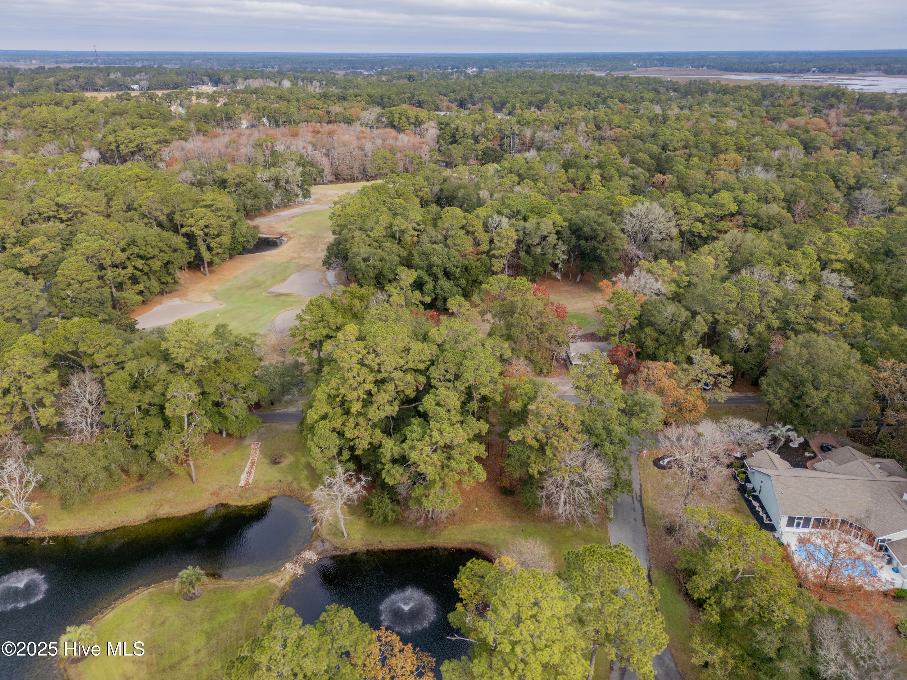 100542577 | Photo 17