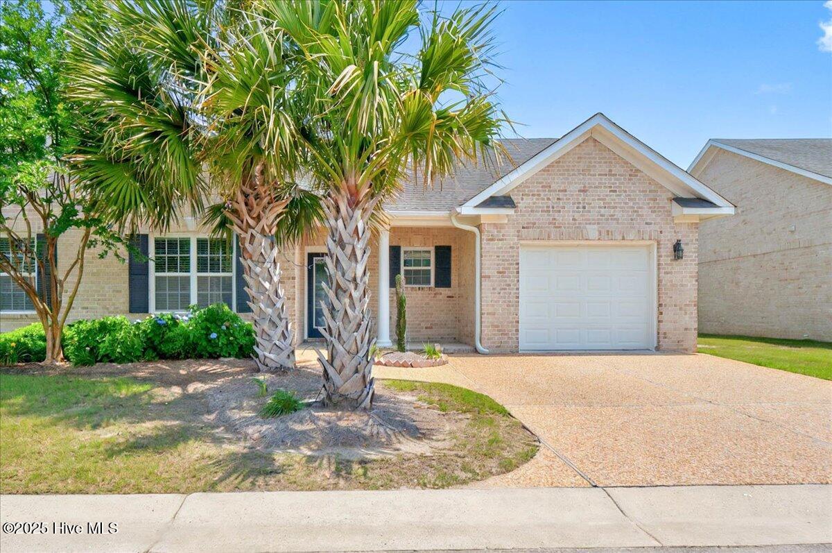 100521478 | Photo 26