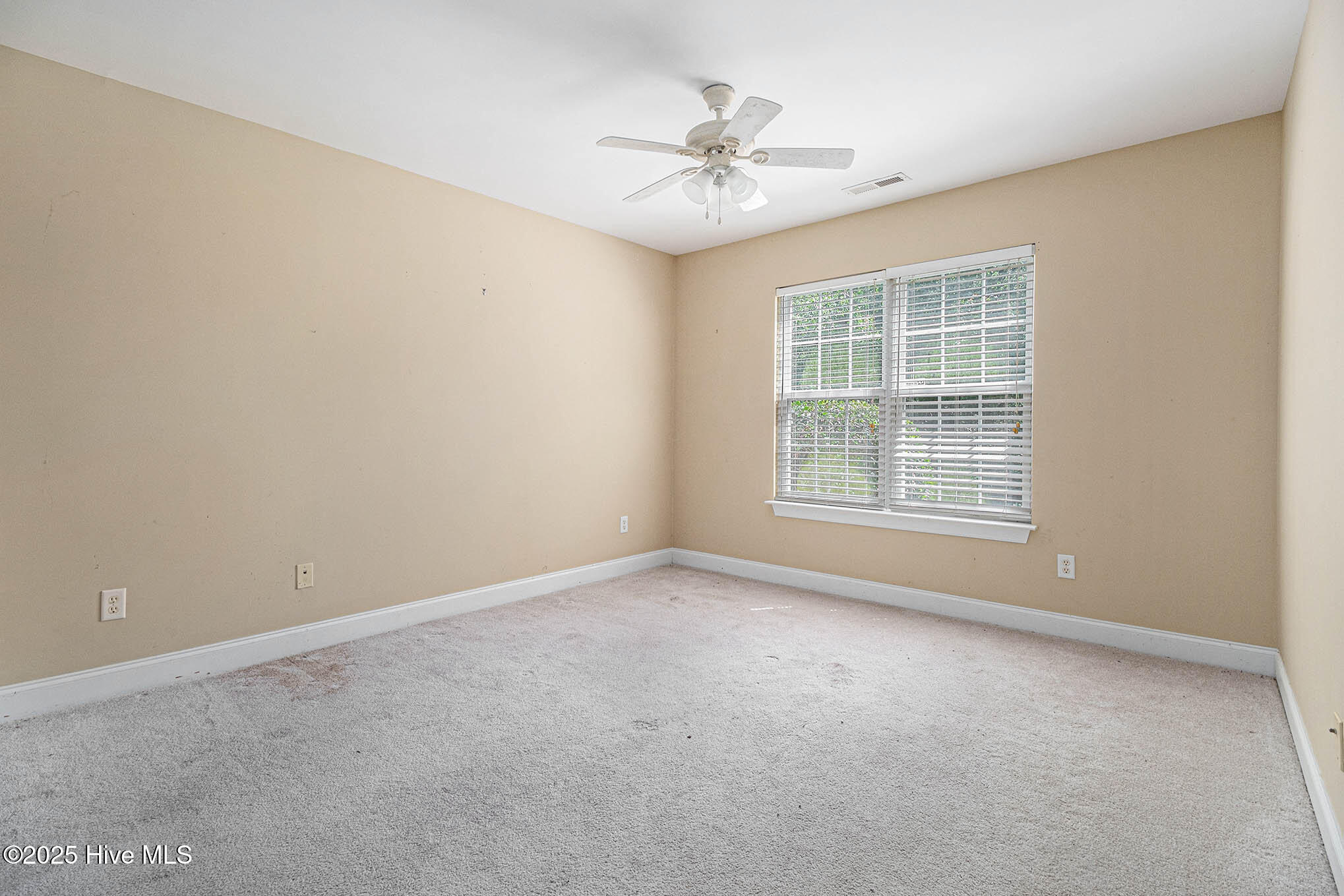 100526069 | Photo 18