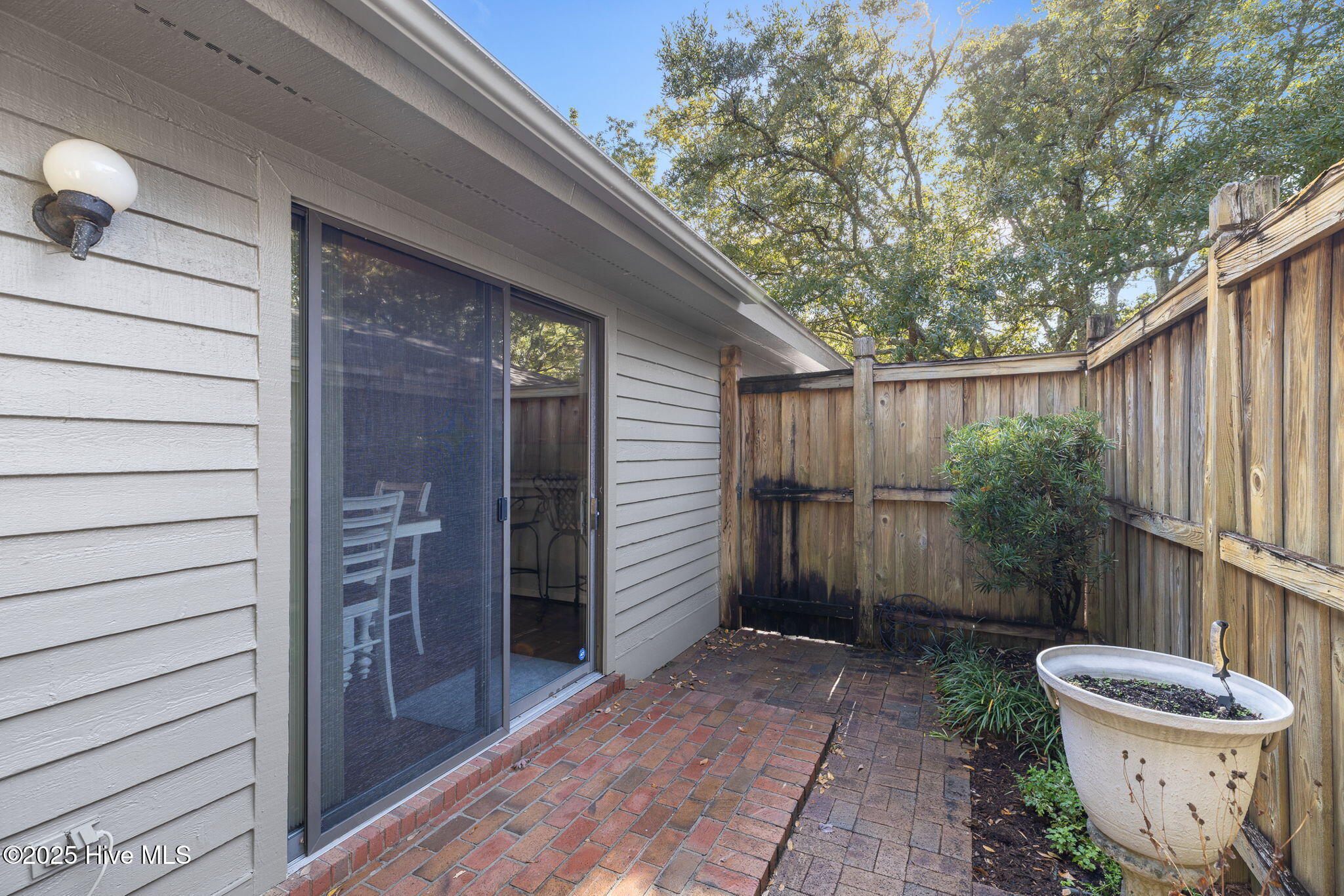 100539672 | Photo 34