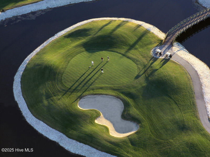 2.BigCatsGolfCourse.ORP