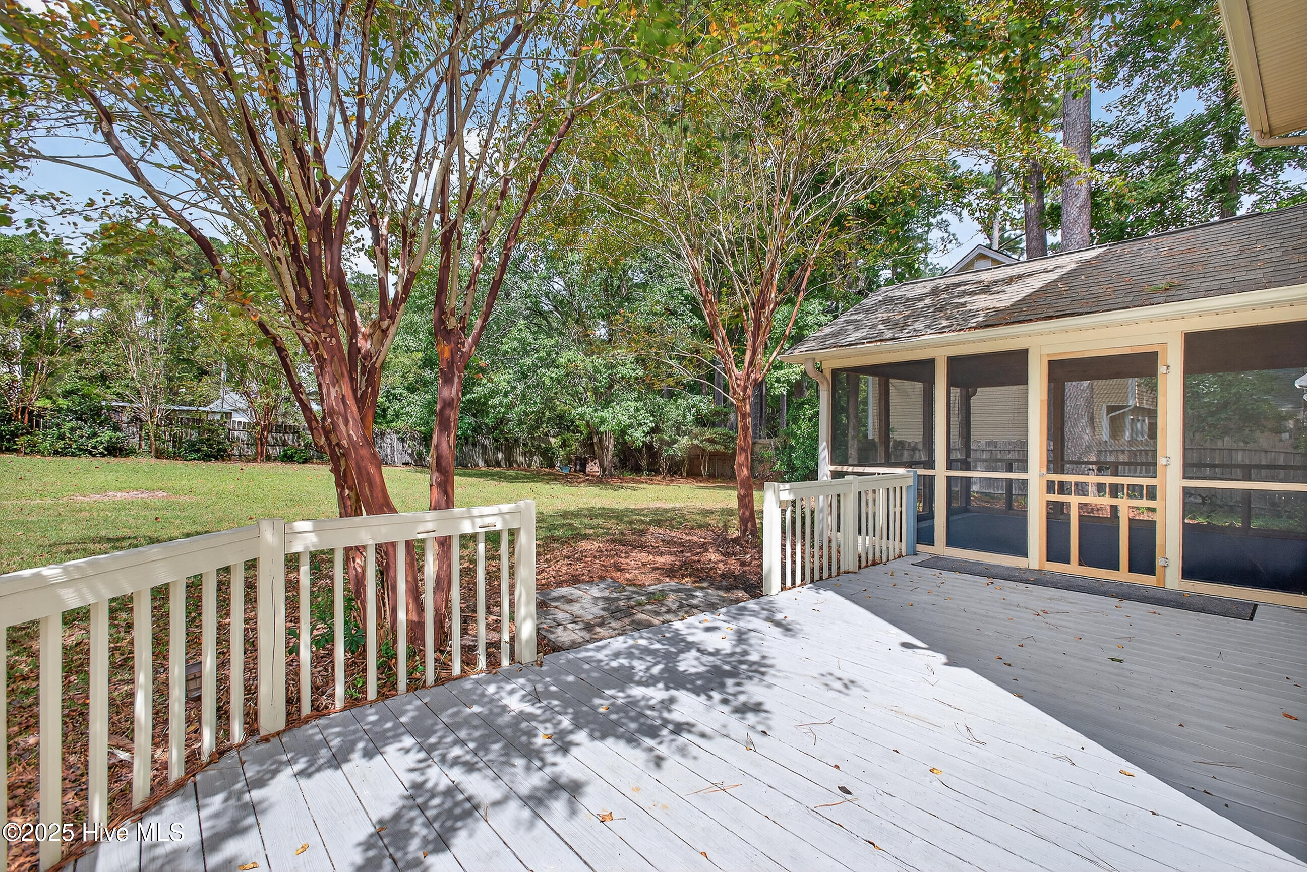 100531663 | Photo 34