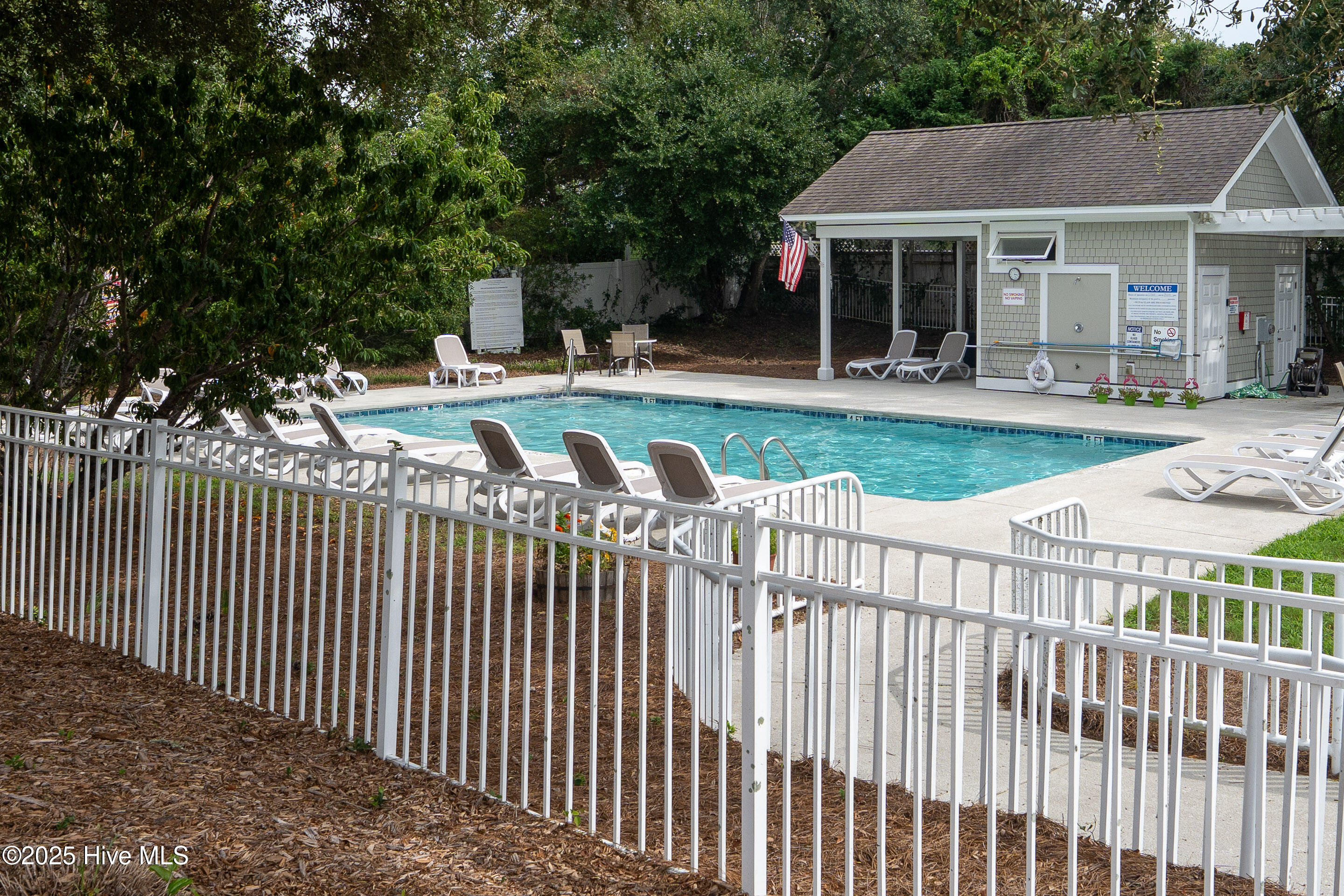 100526442 | Photo 35