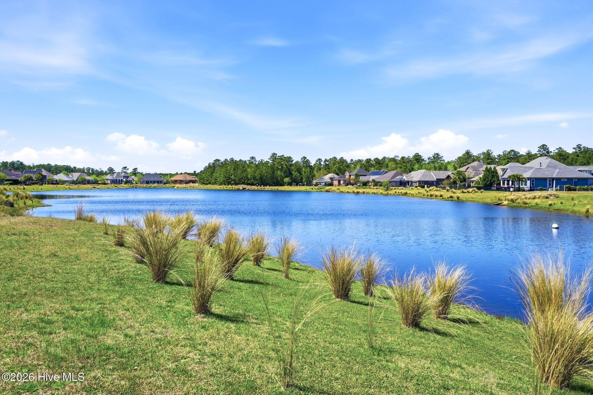 100565235 | Photo 71