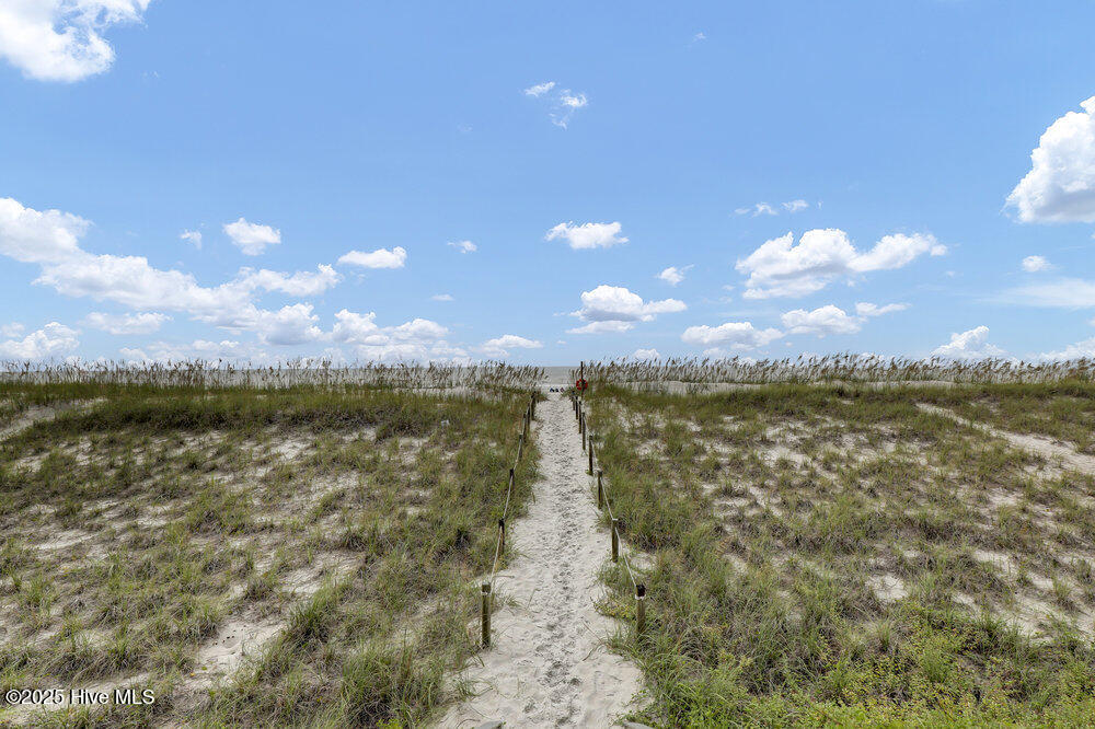 100524042 | Photo 31