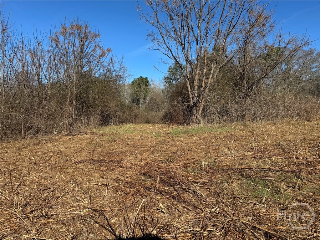 738 Old Mineral Springs Road, Elberton, GA, 30635