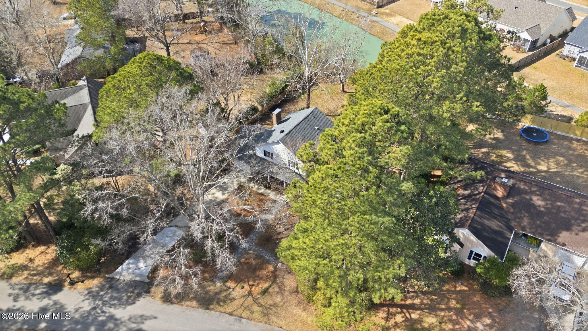 100554538 | Photo 64