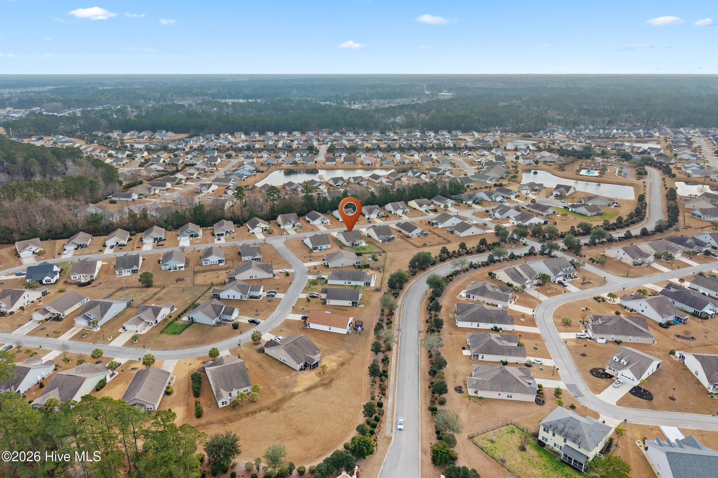 100554987 | Photo 46