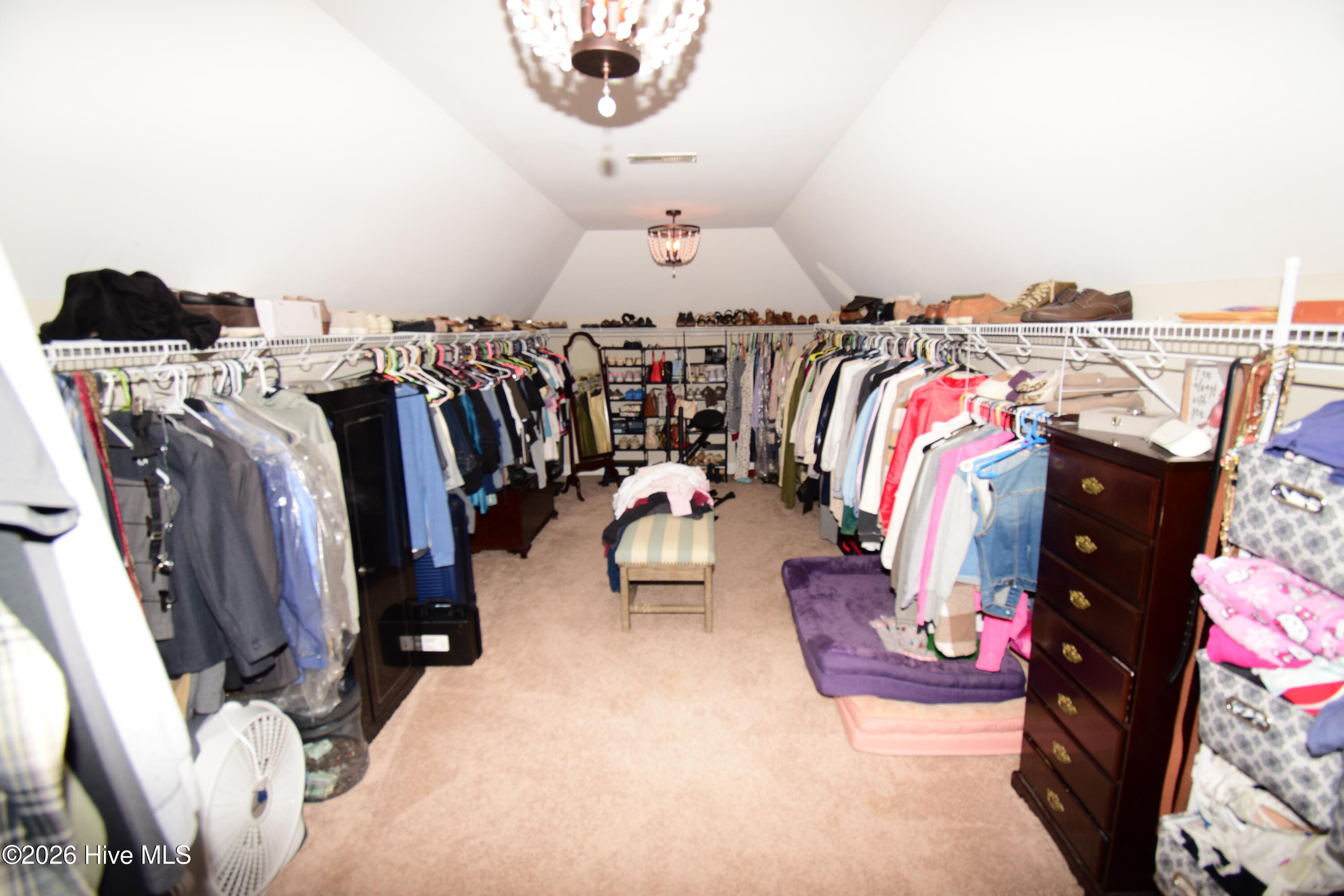 100566647 | Photo 33