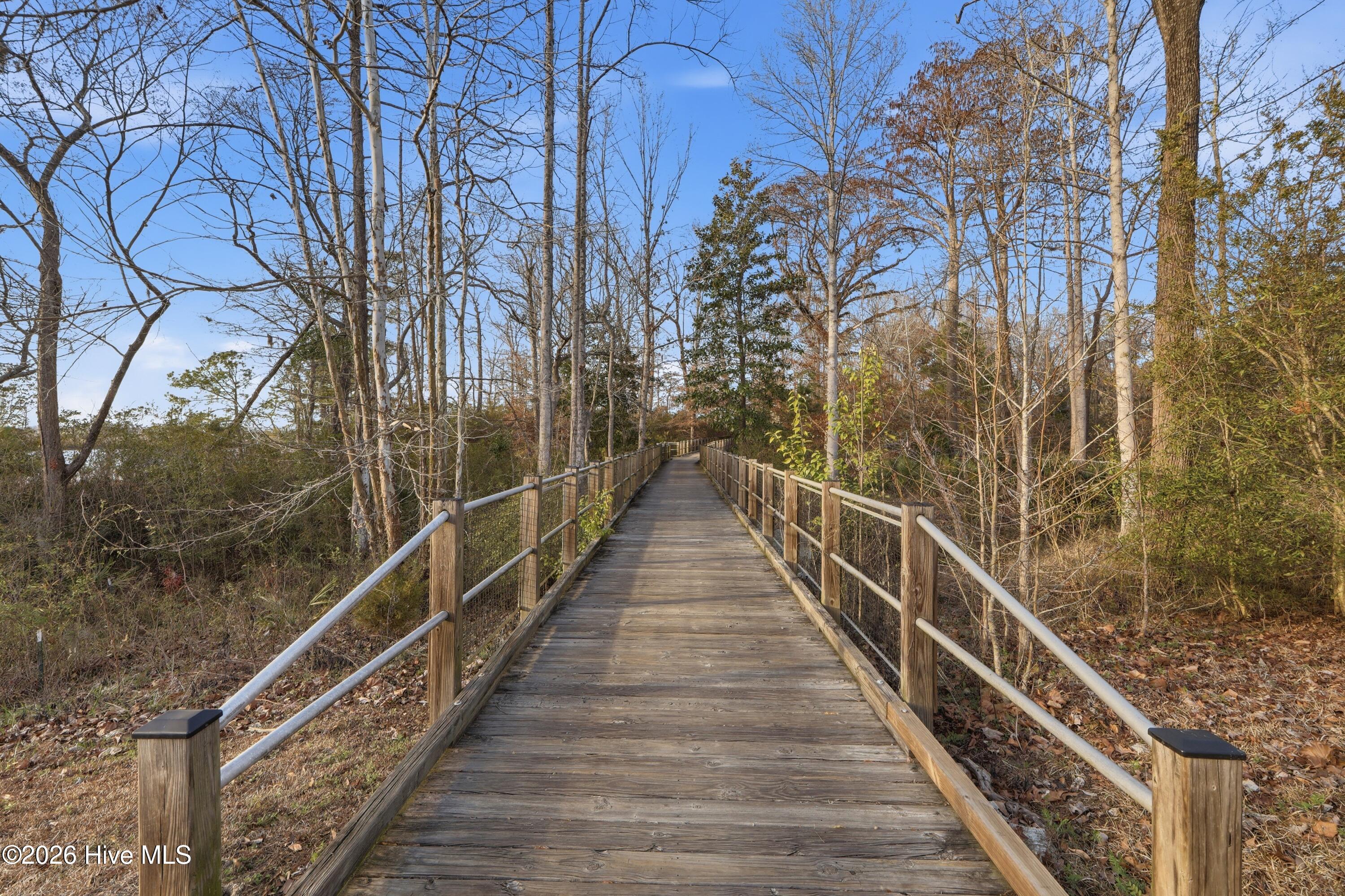 100558541 | Photo 80