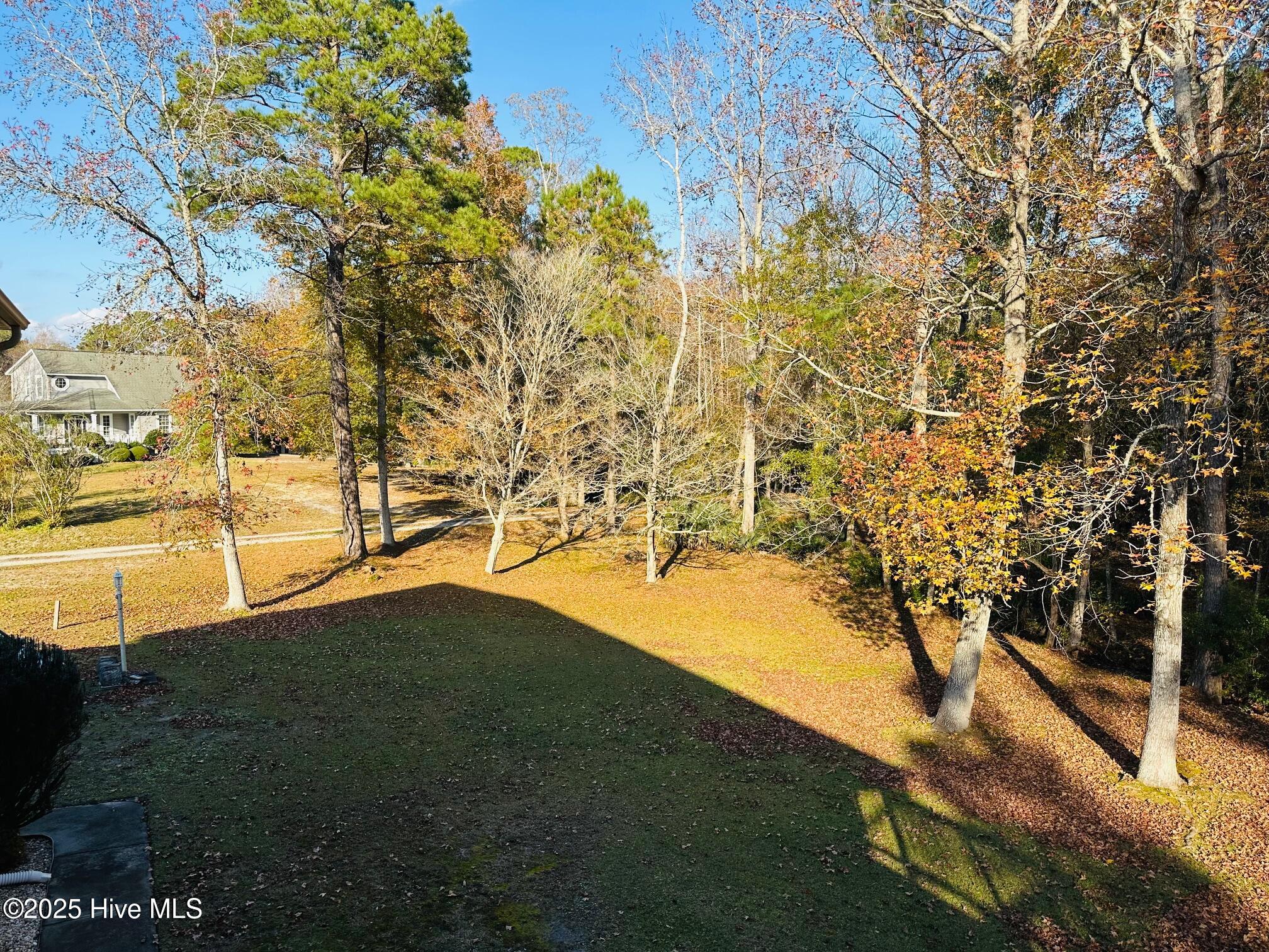 100542135 | Photo 10