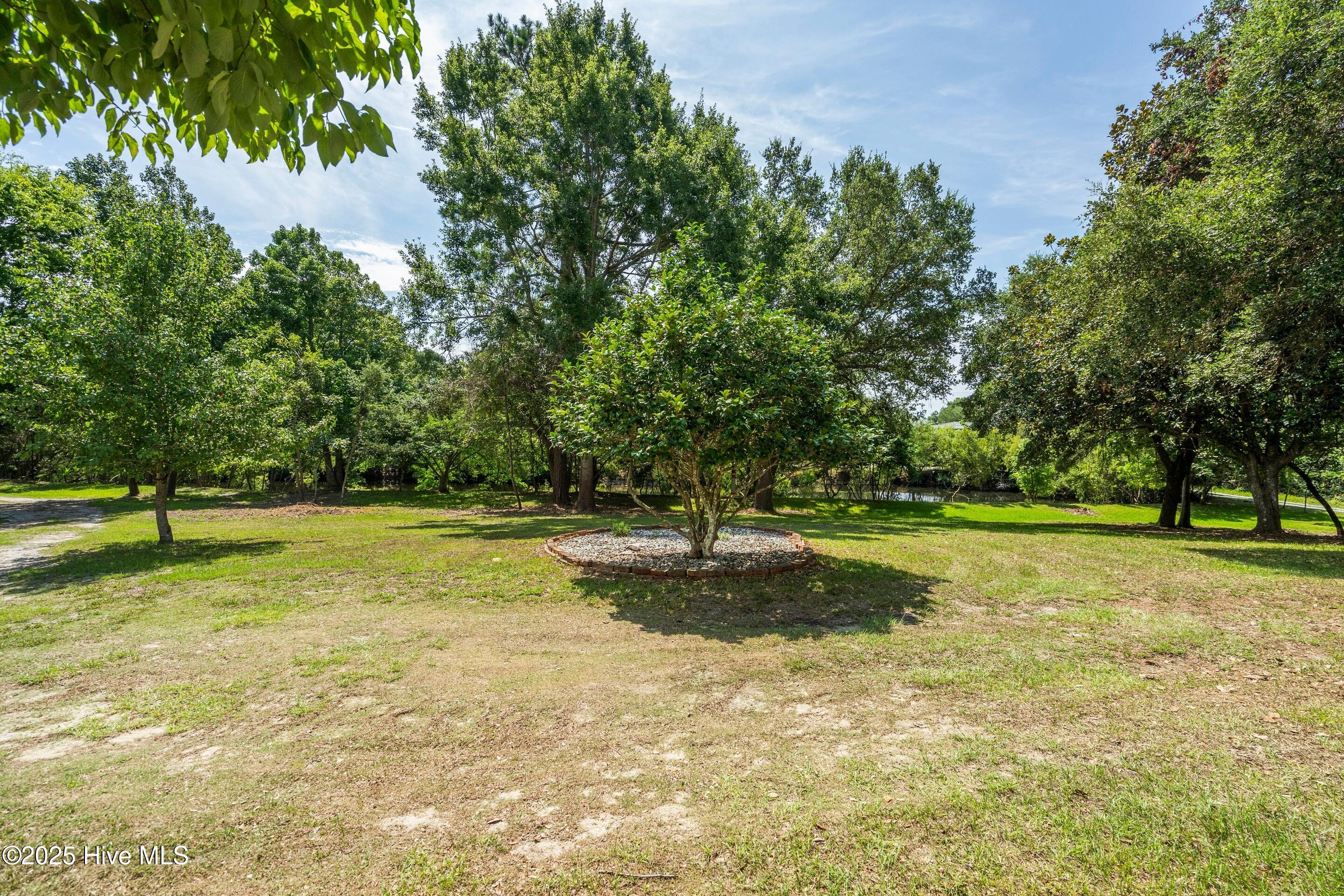 100522461 | Photo 40