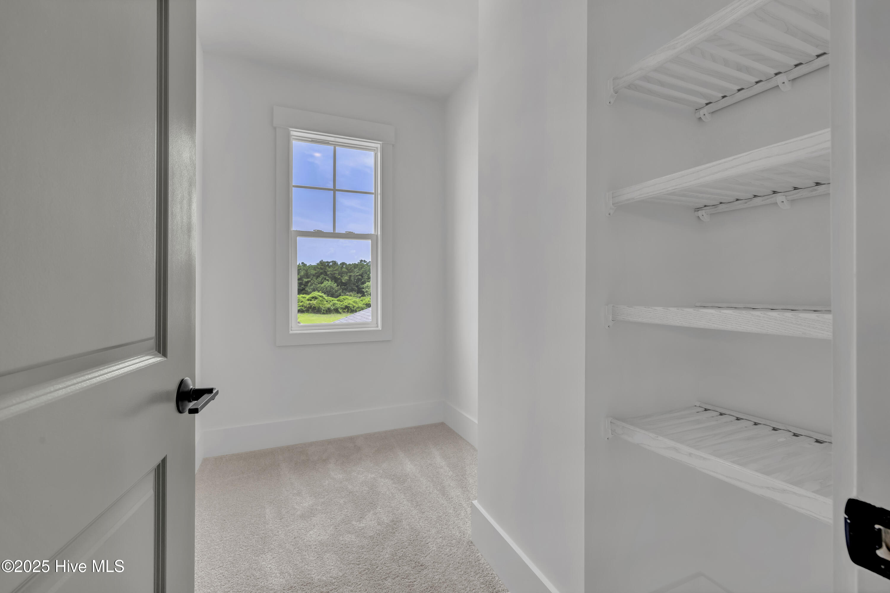 100568013 | Photo 51