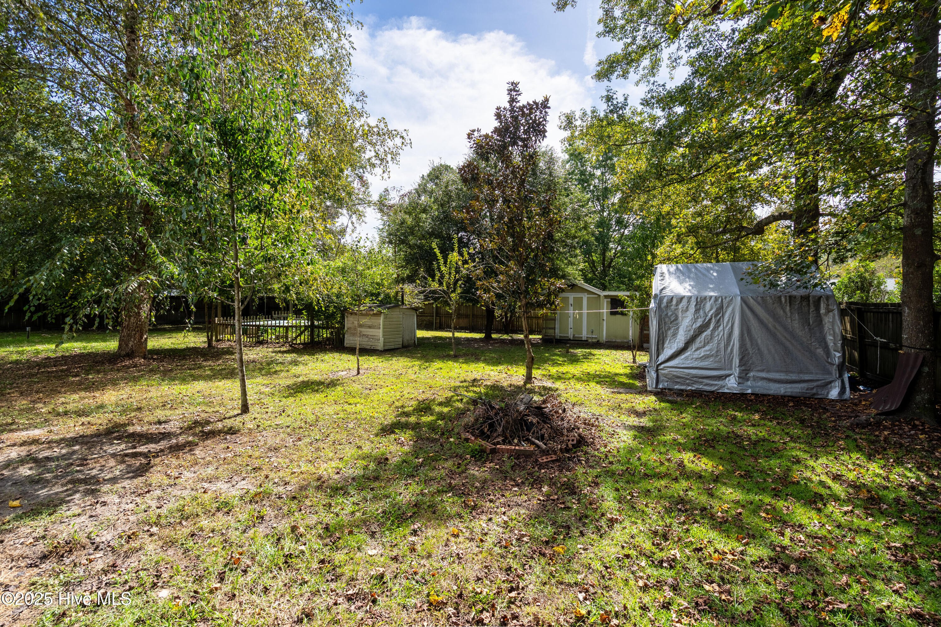 100535124 | Photo 21