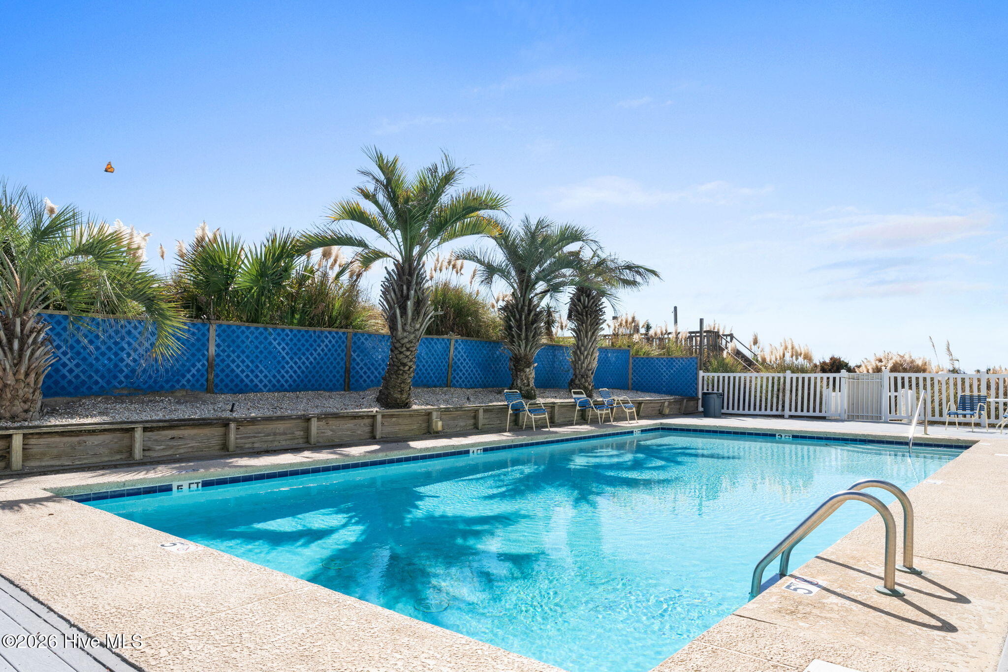 100557808 | Photo 12