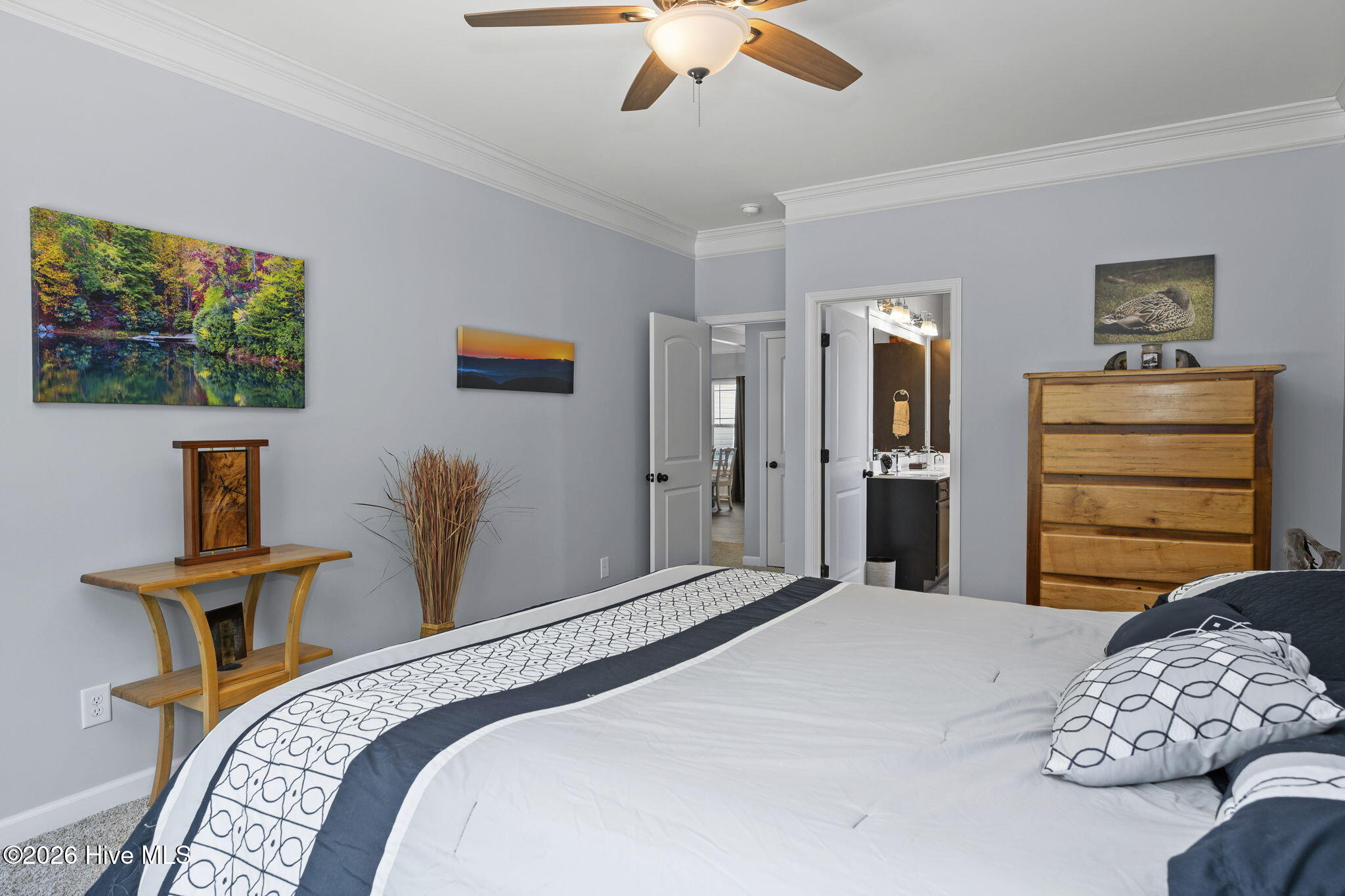 100558397 | Photo 21