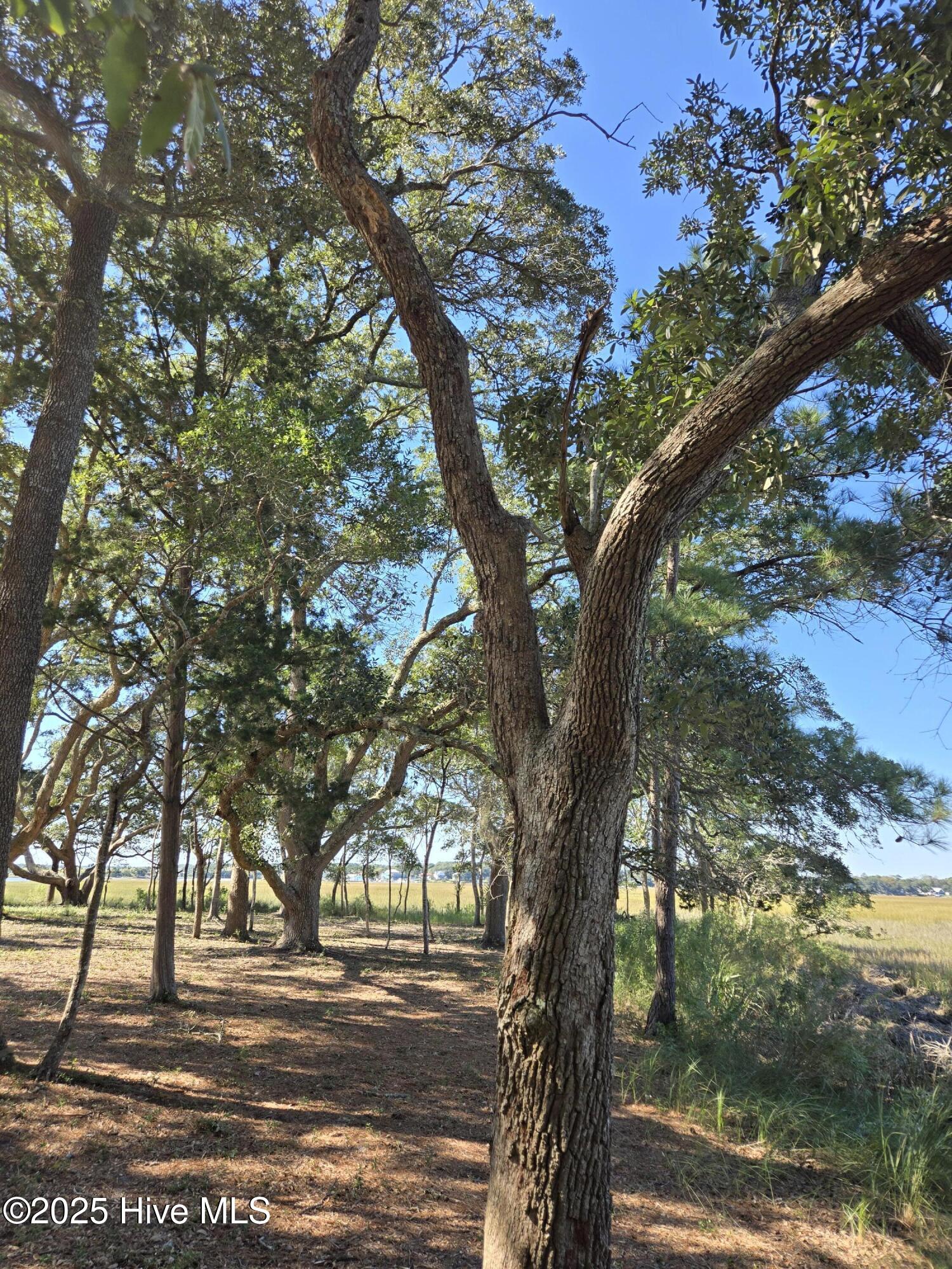 100536937 | Photo 10