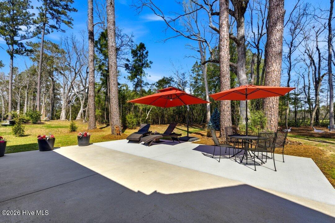 100560083 | Photo 40